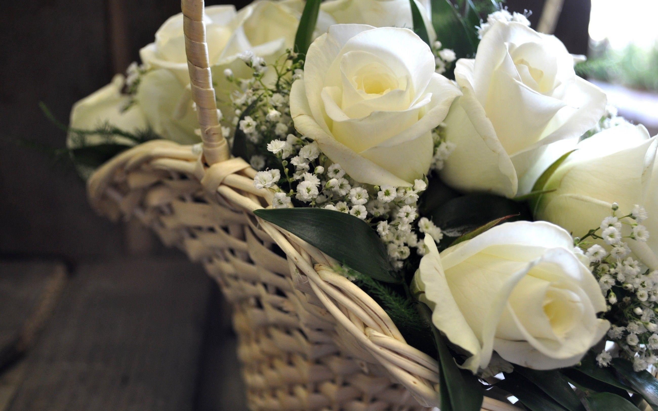 Beautiful Basket Of White Roses Desktop Background wallpaper HD