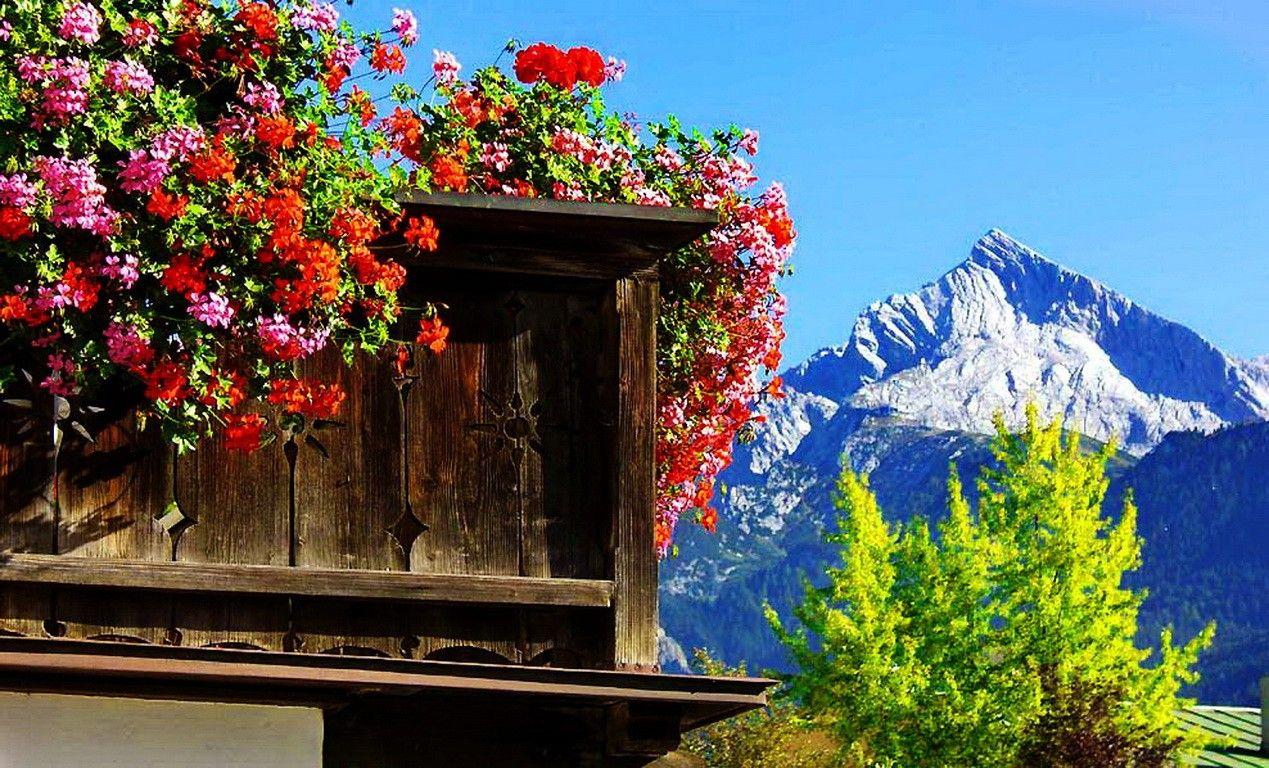Mountains: Cottage Greenery Europe Wooden Nature Summer Mountain