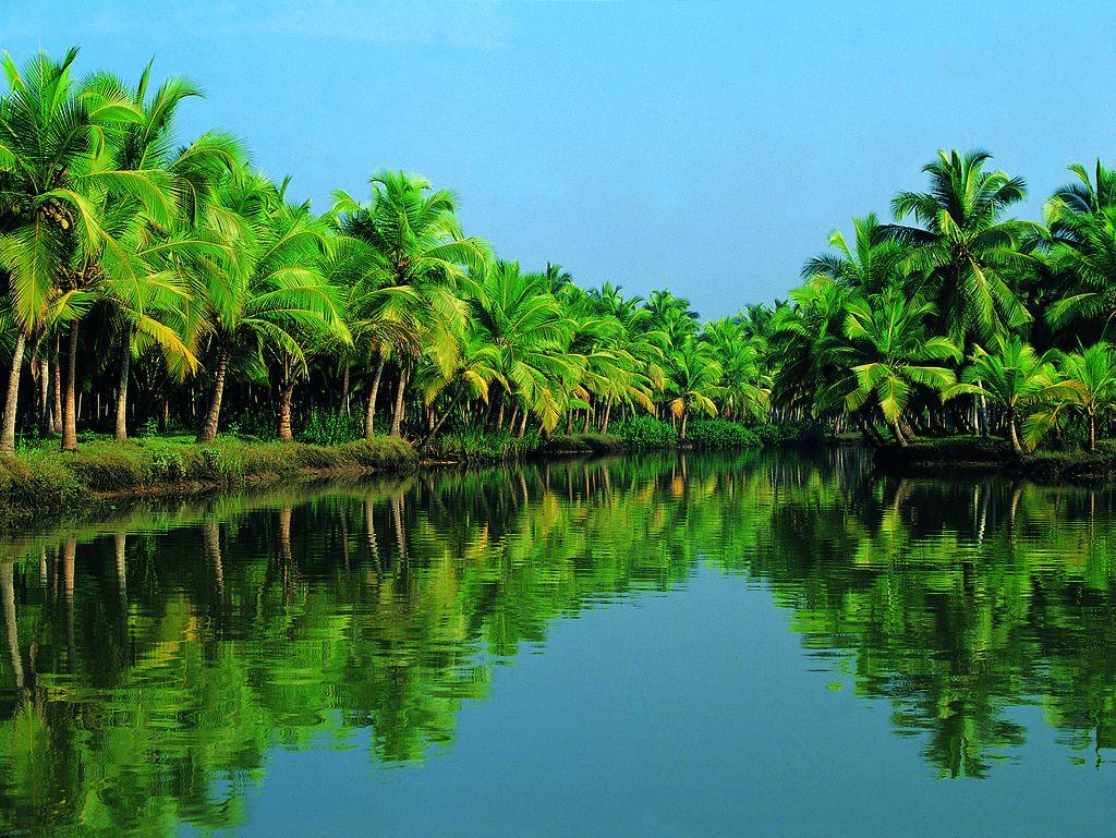 free wallpicz: Wallpaper Desktop Kerala