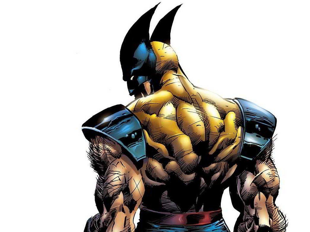 Wolverine HD Wallpaper and Background Image