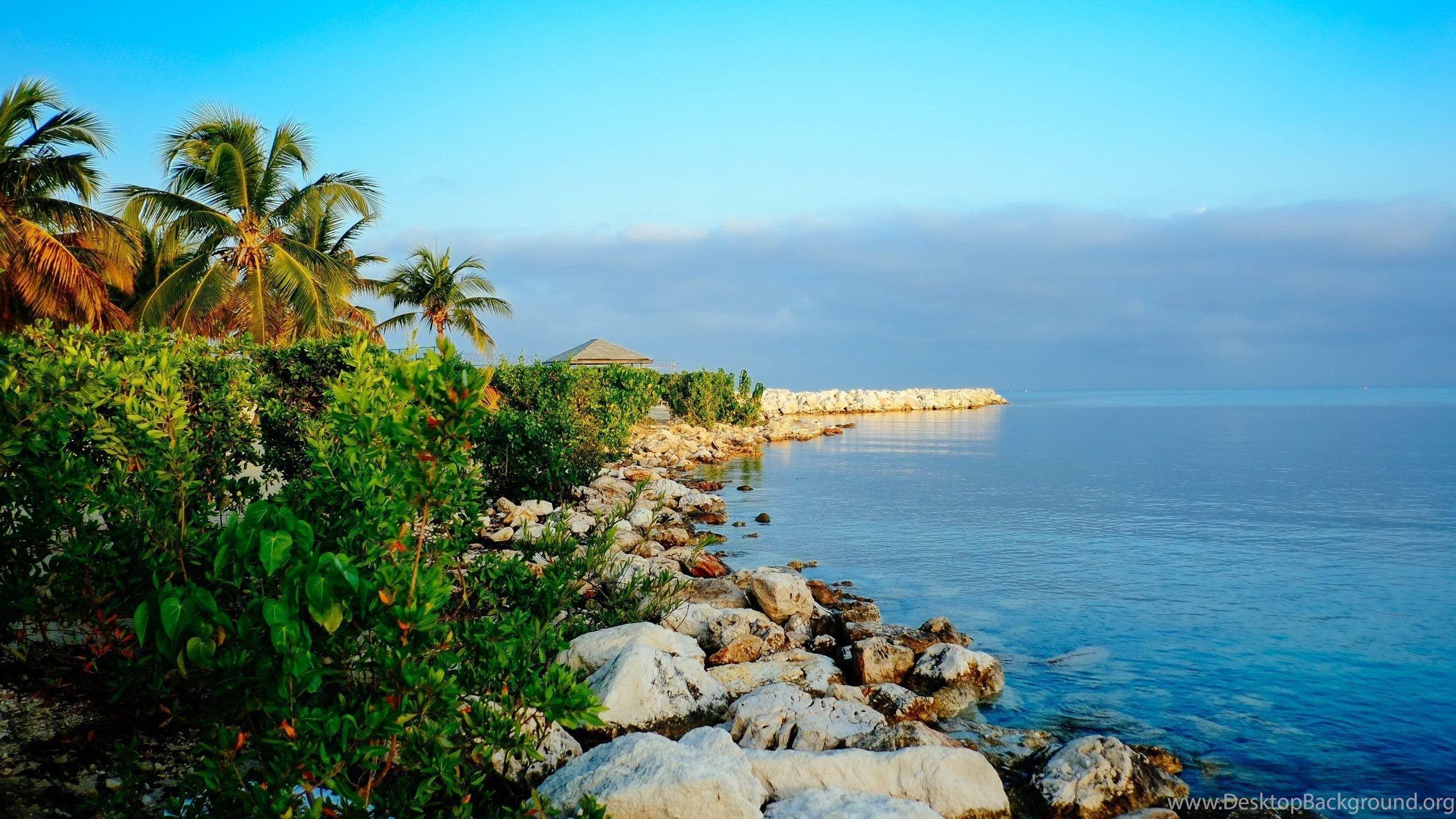 Tropical Nature In Jamaica Wallpaper - HD Wallpaper Desktop