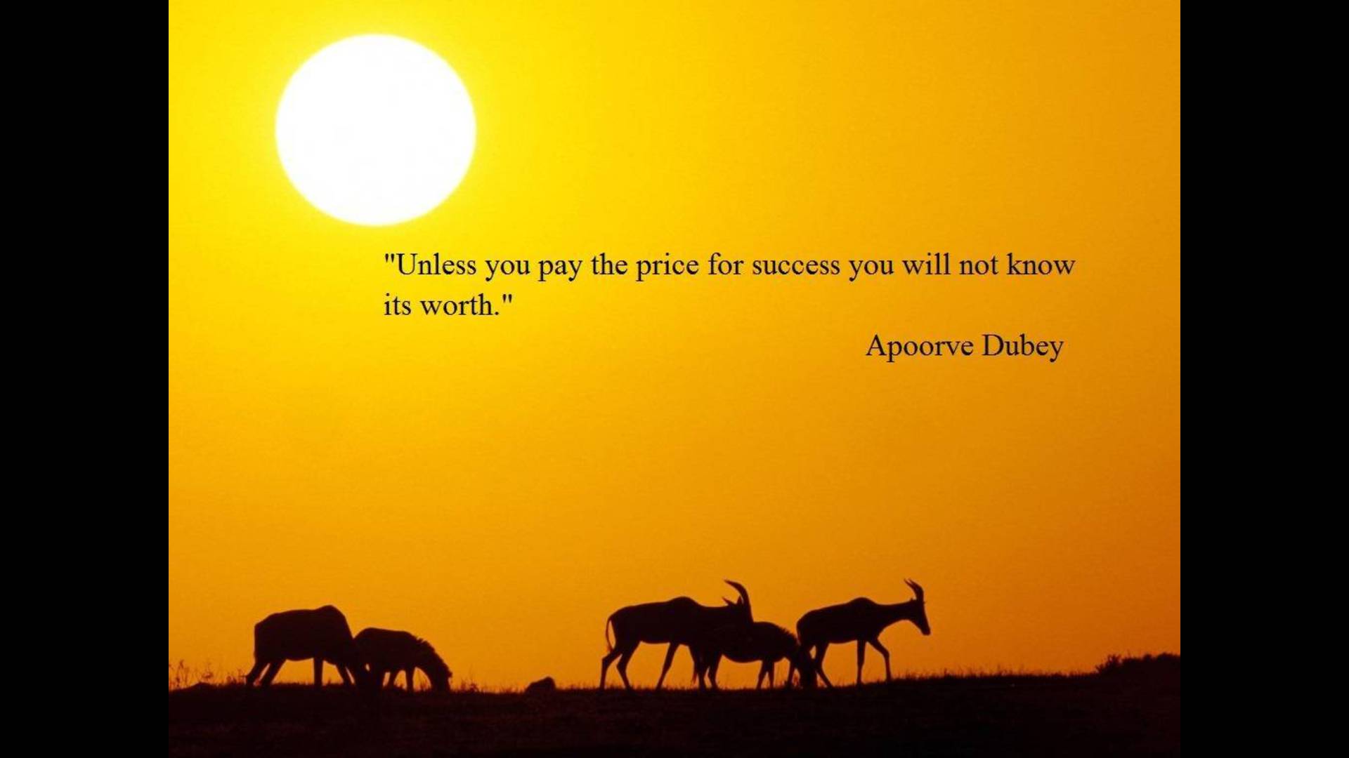 Success Quotes Wallpaper, Picture