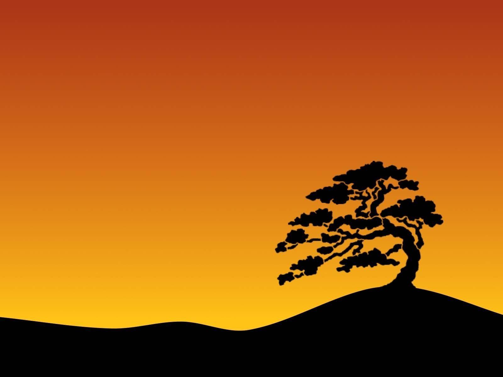 bonsai wallpaper zoeken