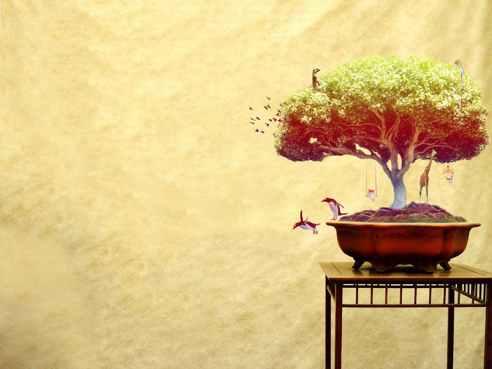 Green bonsai tree on brown steel vase HD wallpaper