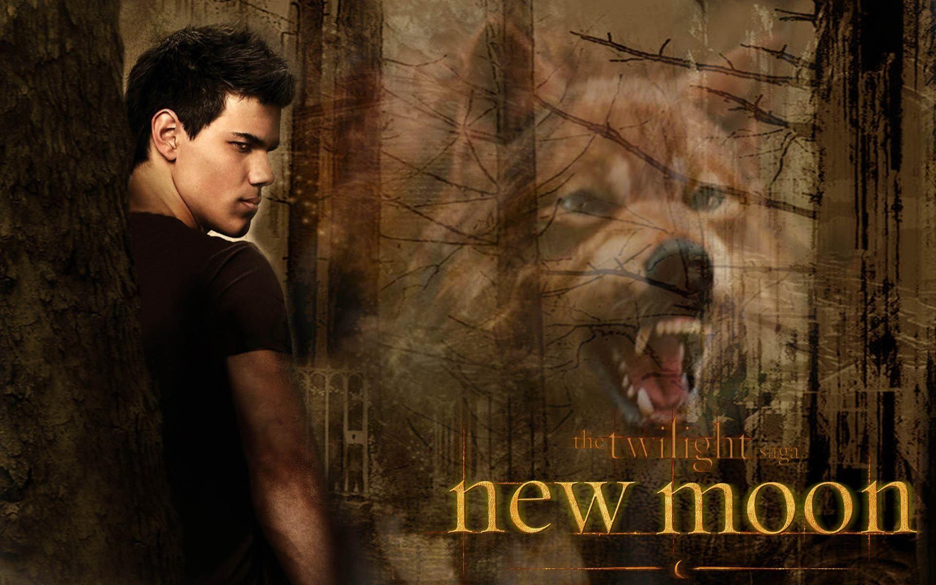 Download The Twilight Saga New Moon Bella And Jacob Wallpaper  Wallpapers com