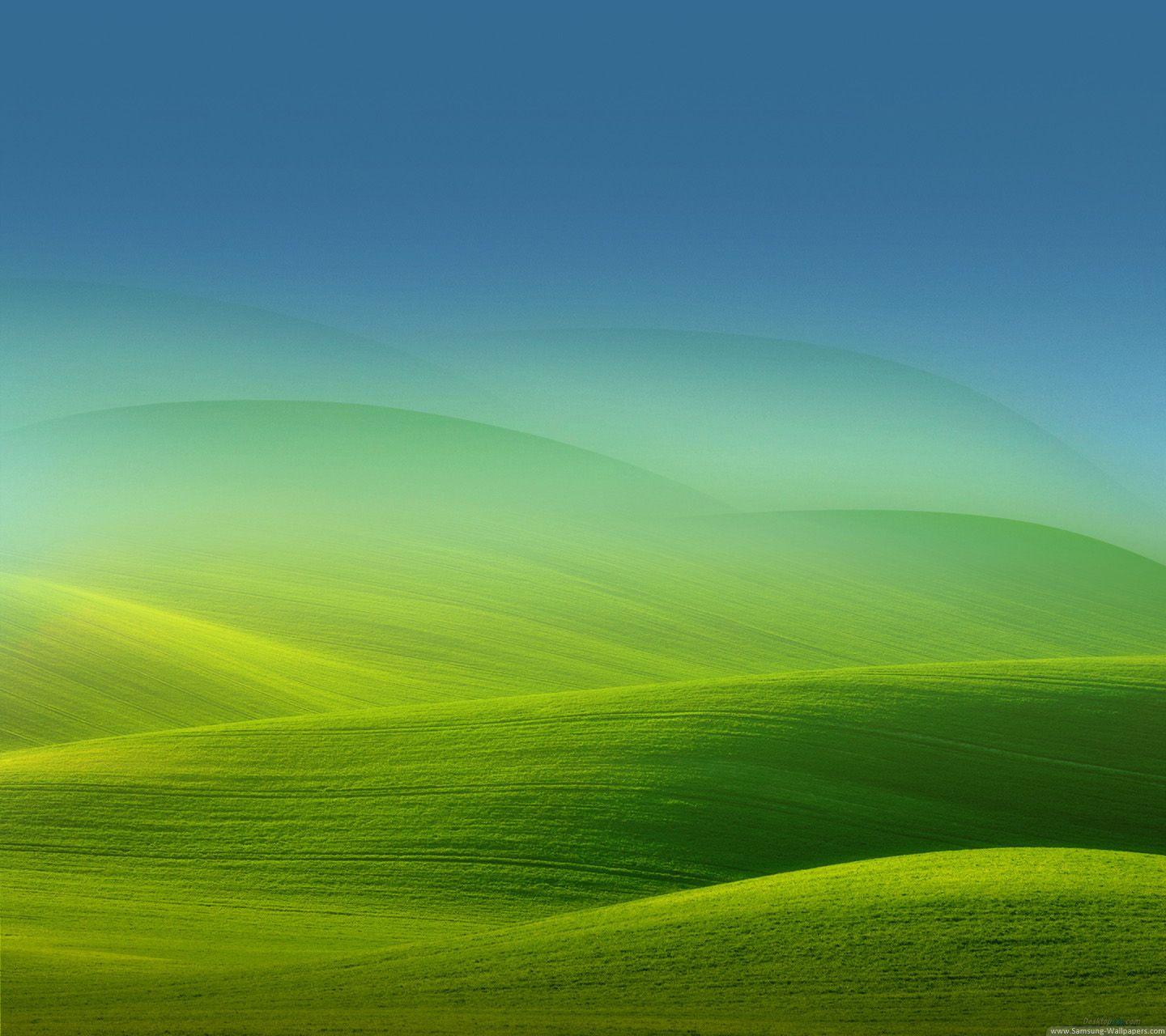 Green Grass Lock Screen 1440x1280 Samsung Galaxy S3 Wallpaper