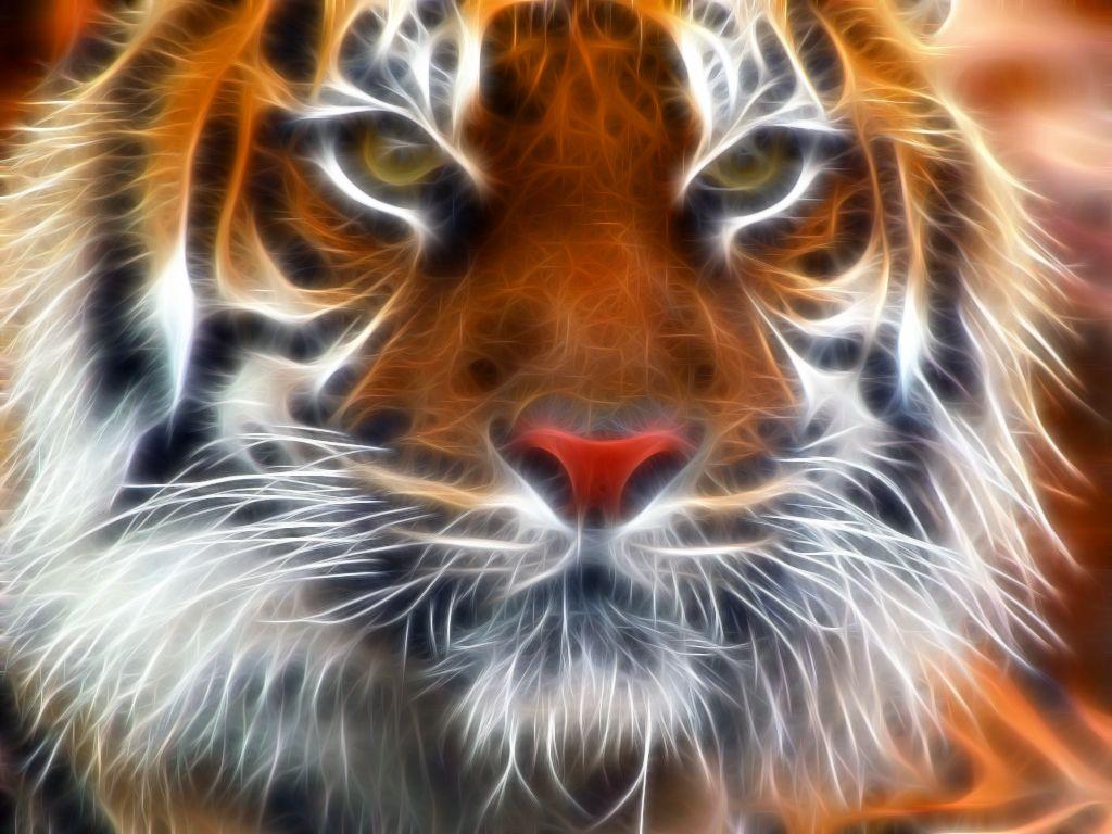 Amur Tigers image Amur Tiger Fractal HD wallpaper and background