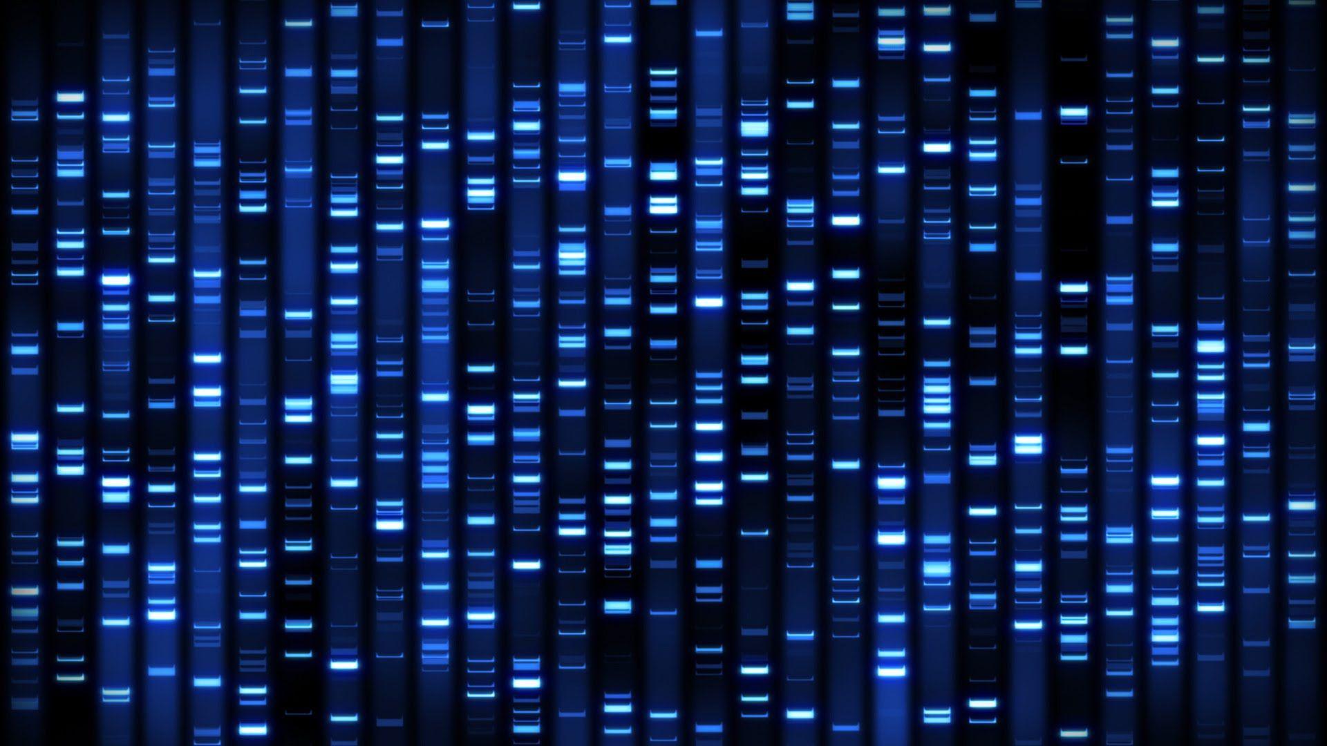 DNA Fingerprinting to Determine Paternity Infographic Storey