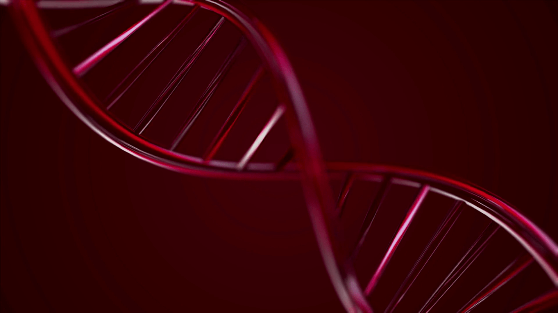 Animated DNA chain. Red DNA Strand slow motion Animation Stock