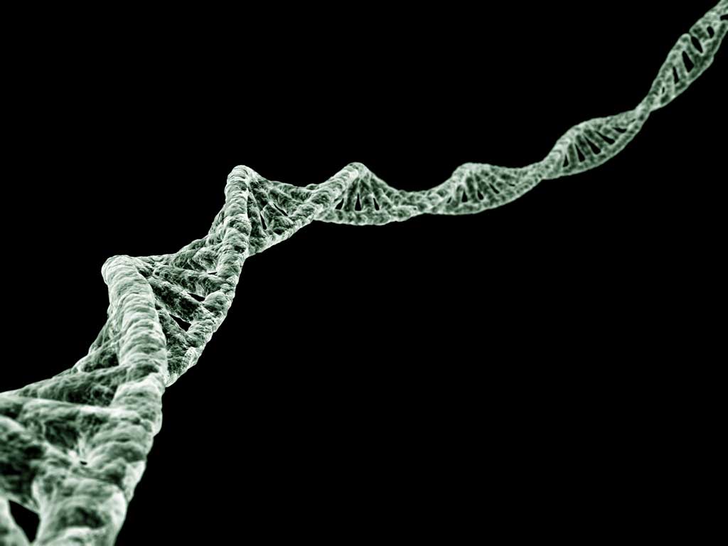 Hot Dna Picture. SNT76 Quality HD Wallpaper