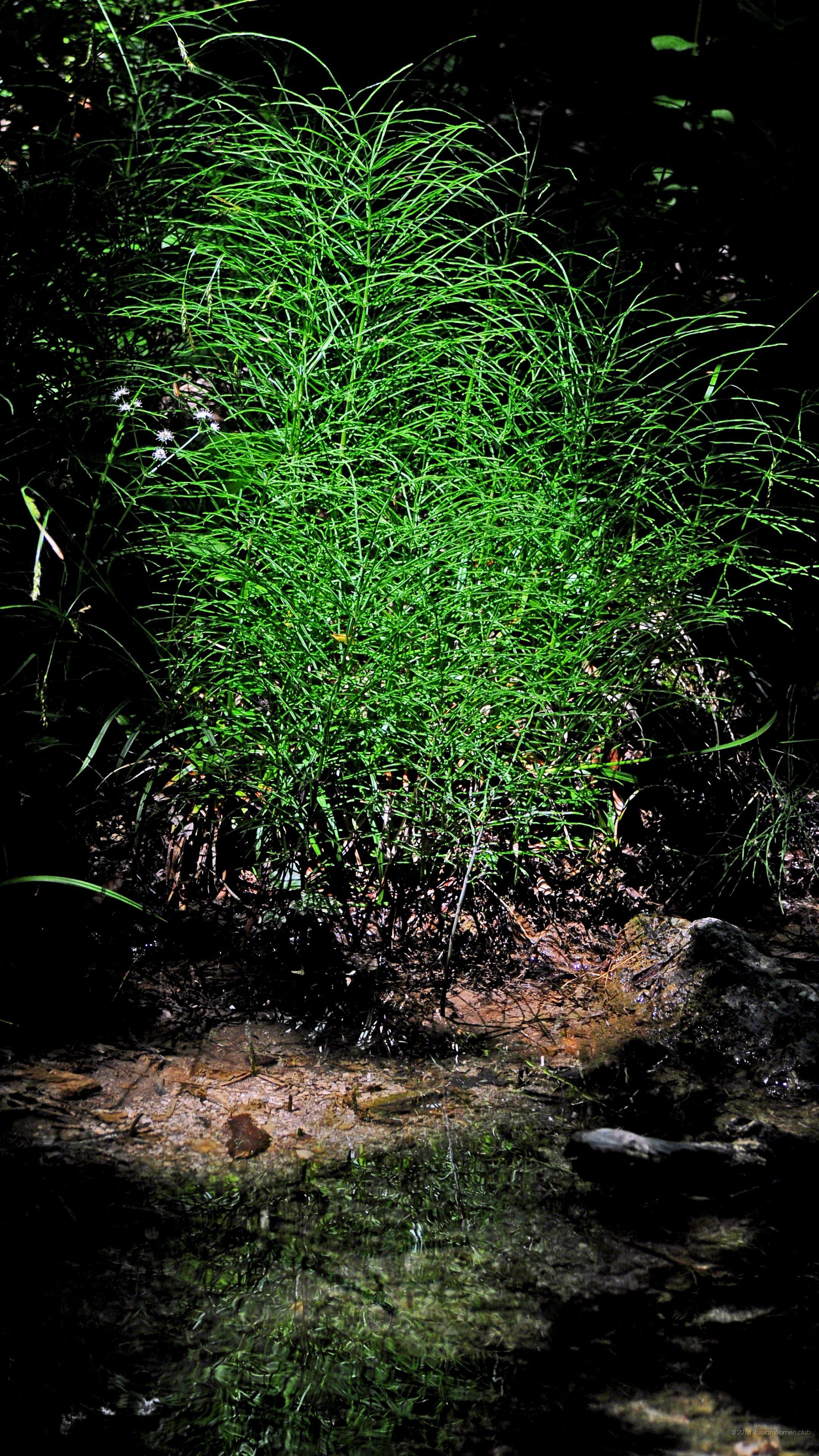 Handy Hintergrundbilder HD \u2013 World Map, Weltkarte, Peta Dunia