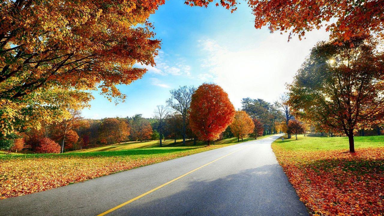 Guest Autumn Road Scenery Wallpaper Hd 1080p 1920x1080