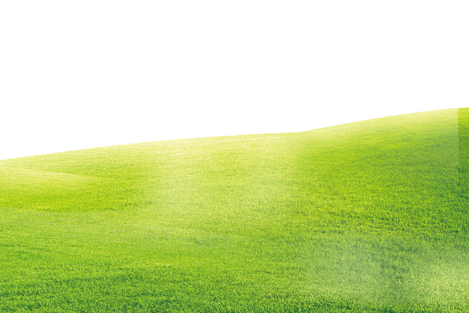 Green grass background 1500*1000 transprent Png Free Download