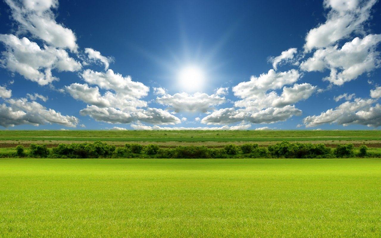 Free Green Grass, The Sun Shines Background For PowerPoint