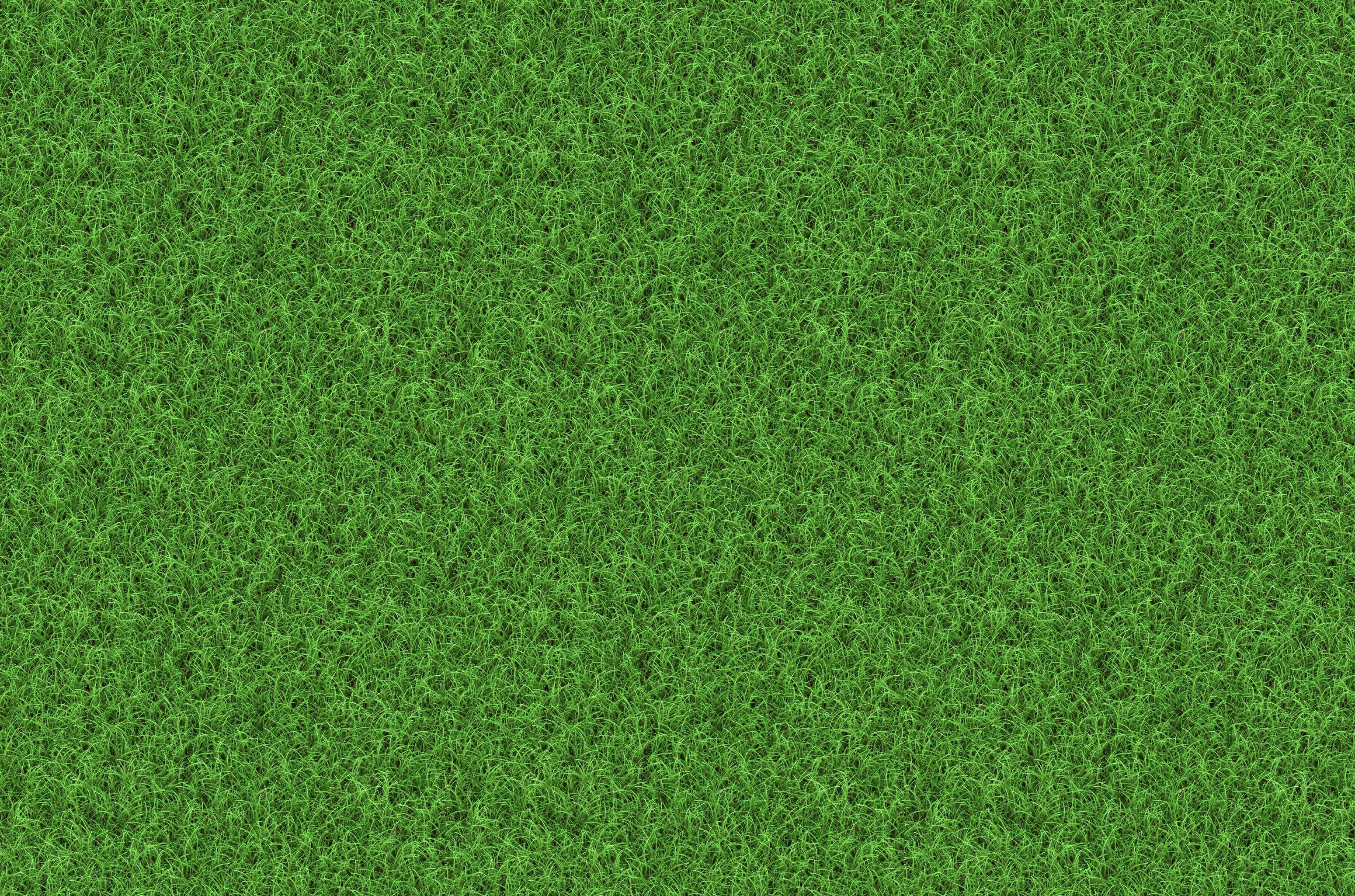 Photoshop grass texture seamless - forestbery