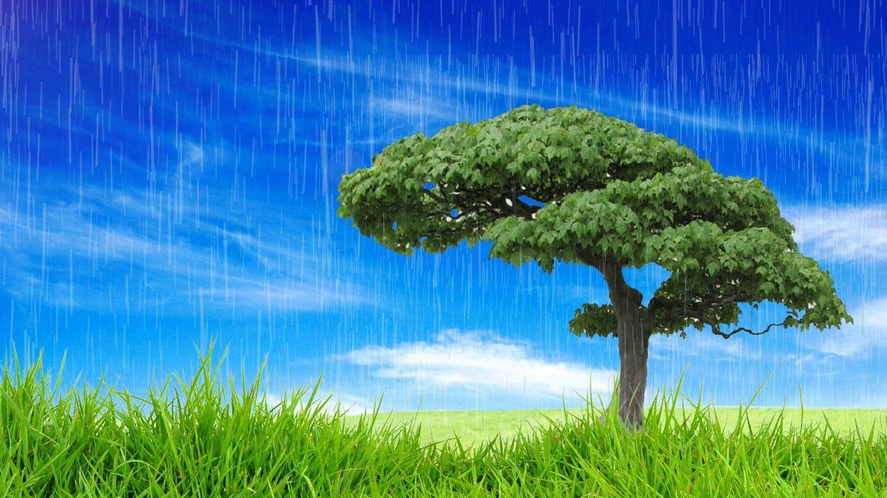 Background Blue Sky And Green Grass HD Background