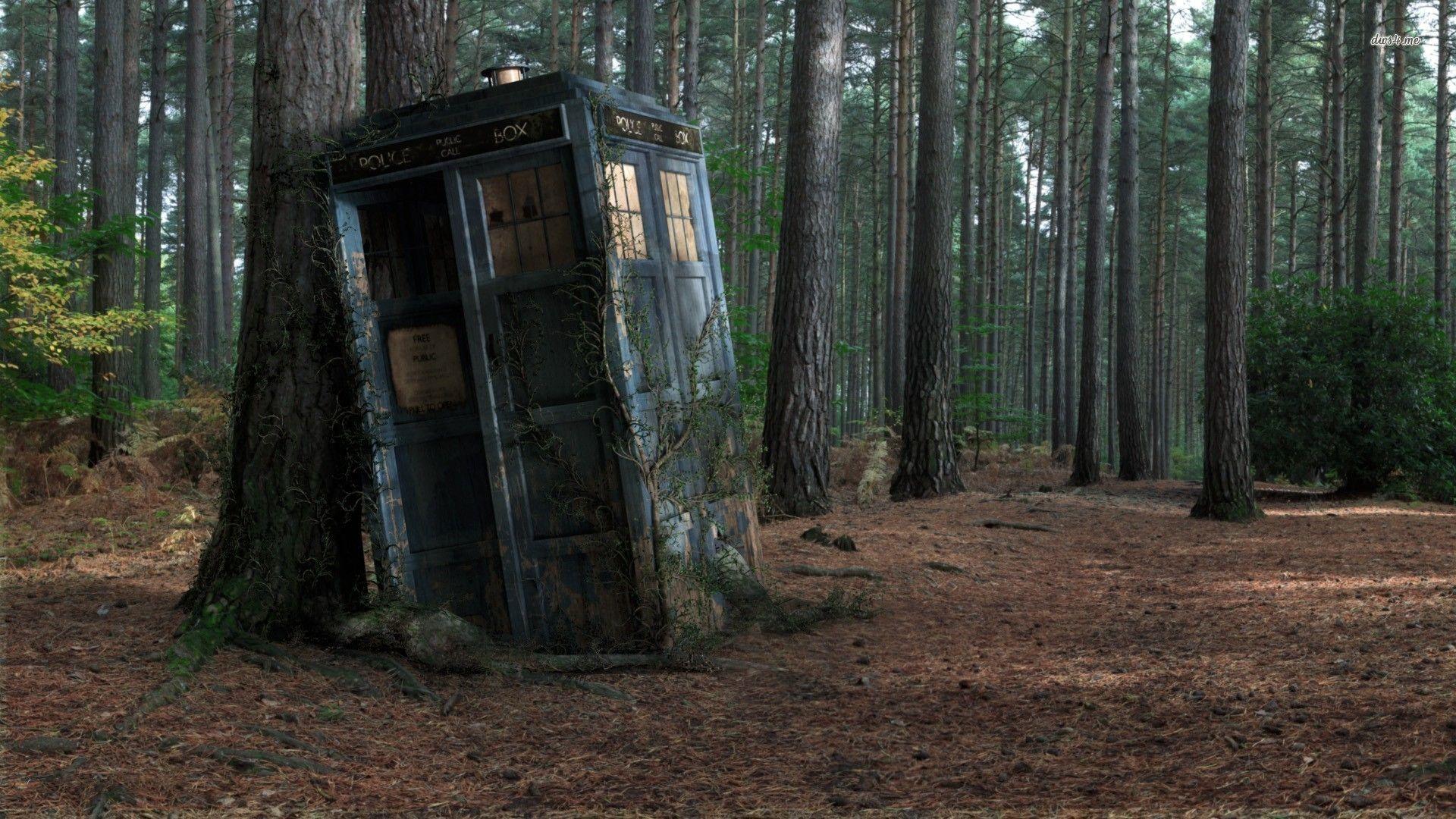 Abandoned TARDIS wallpaper Art wallpaper