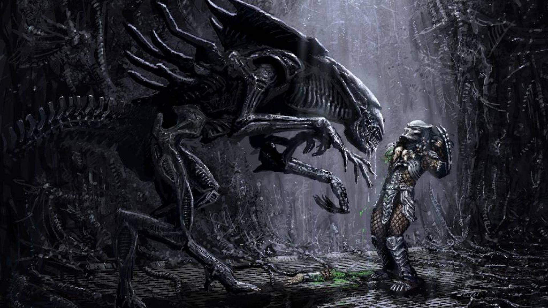 Aliens vs Predator Wallpaper