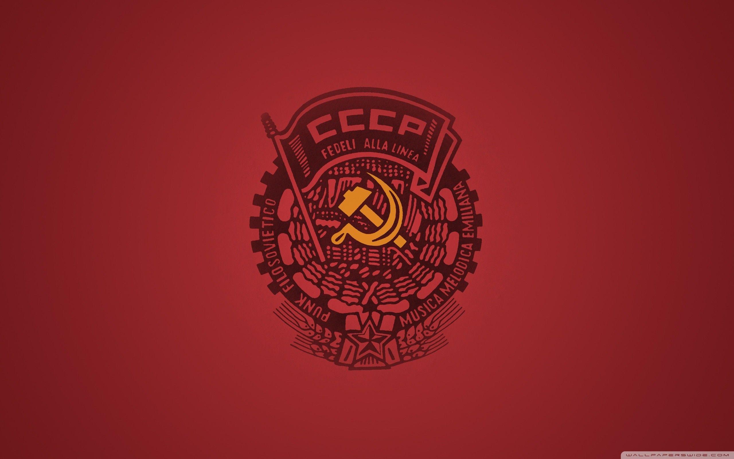 Panda Wallpaper Cccp