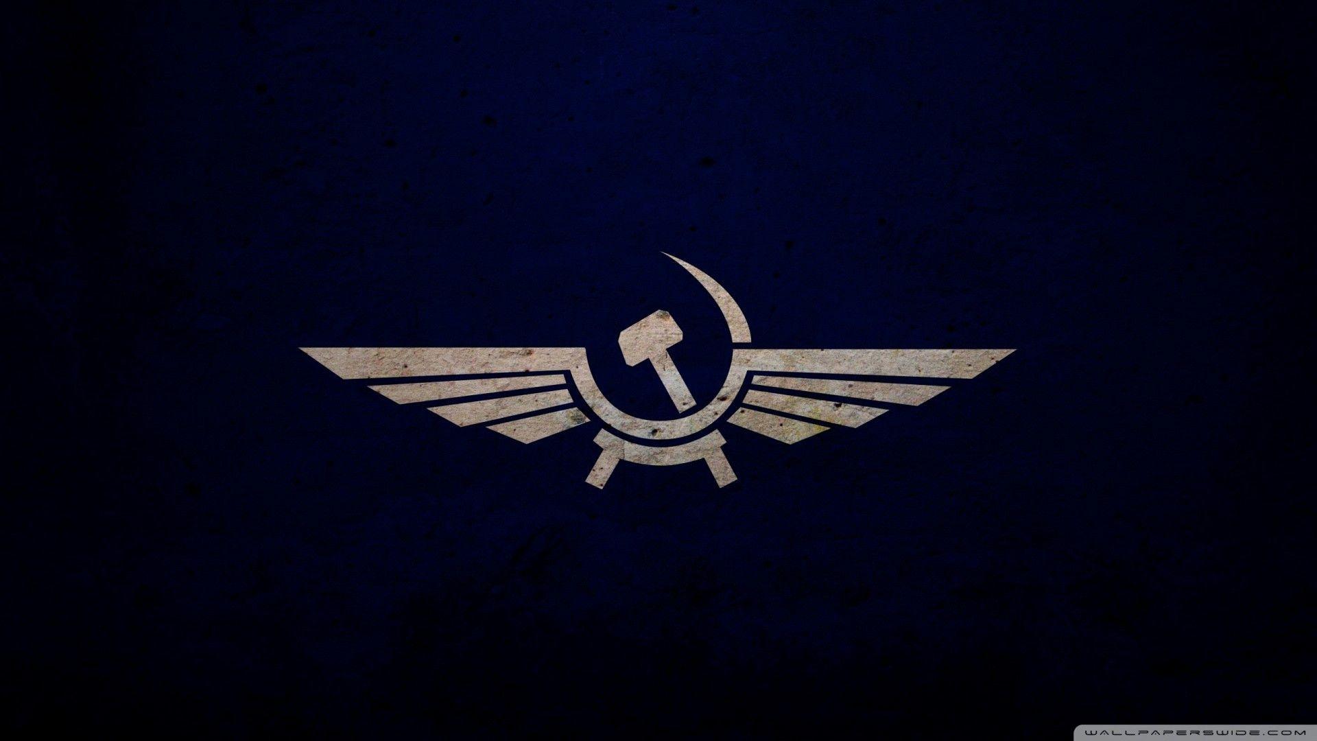 Awesome Panda HD Wallpaper for iPhone Se 2. iPhone Wallpaper HD