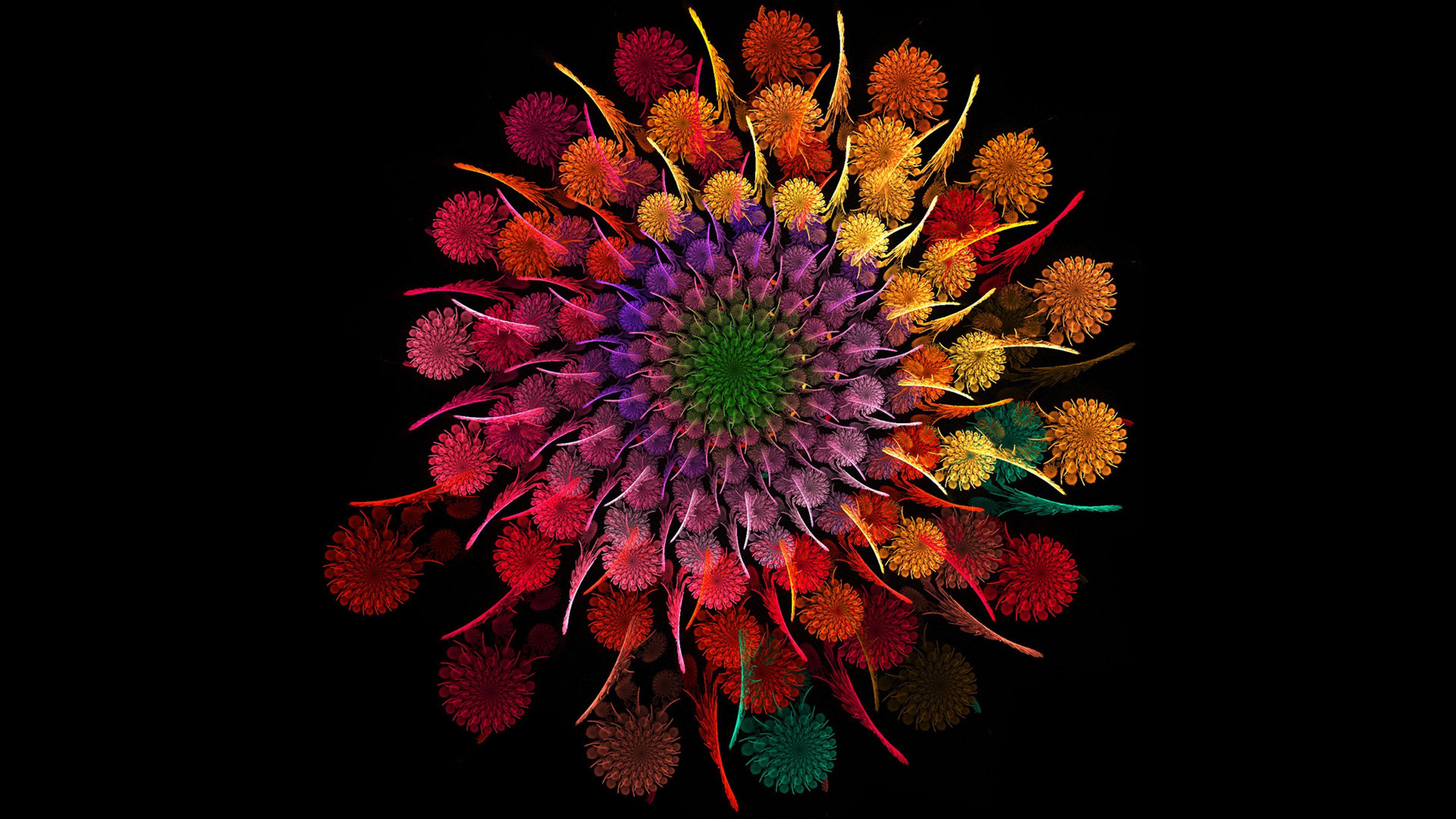 Rainbow Flower, HD Flowers, 4k Wallpaper, Image, Background