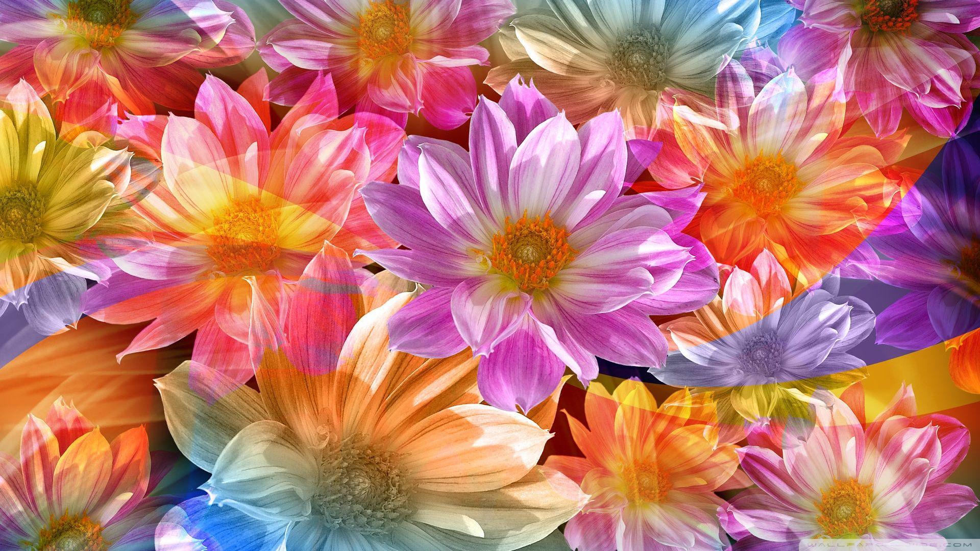 Fantasy Flowers ❤ 4K HD Desktop Wallpaper for 4K Ultra HD TV