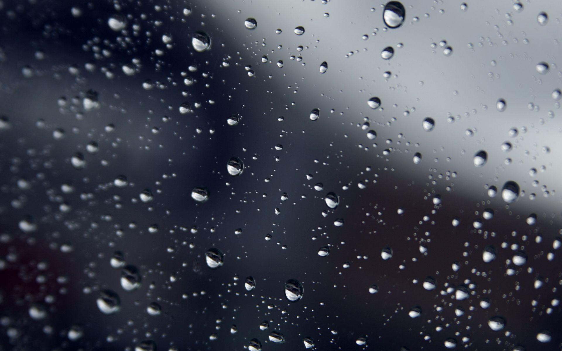 Rain Drops Wallpaper