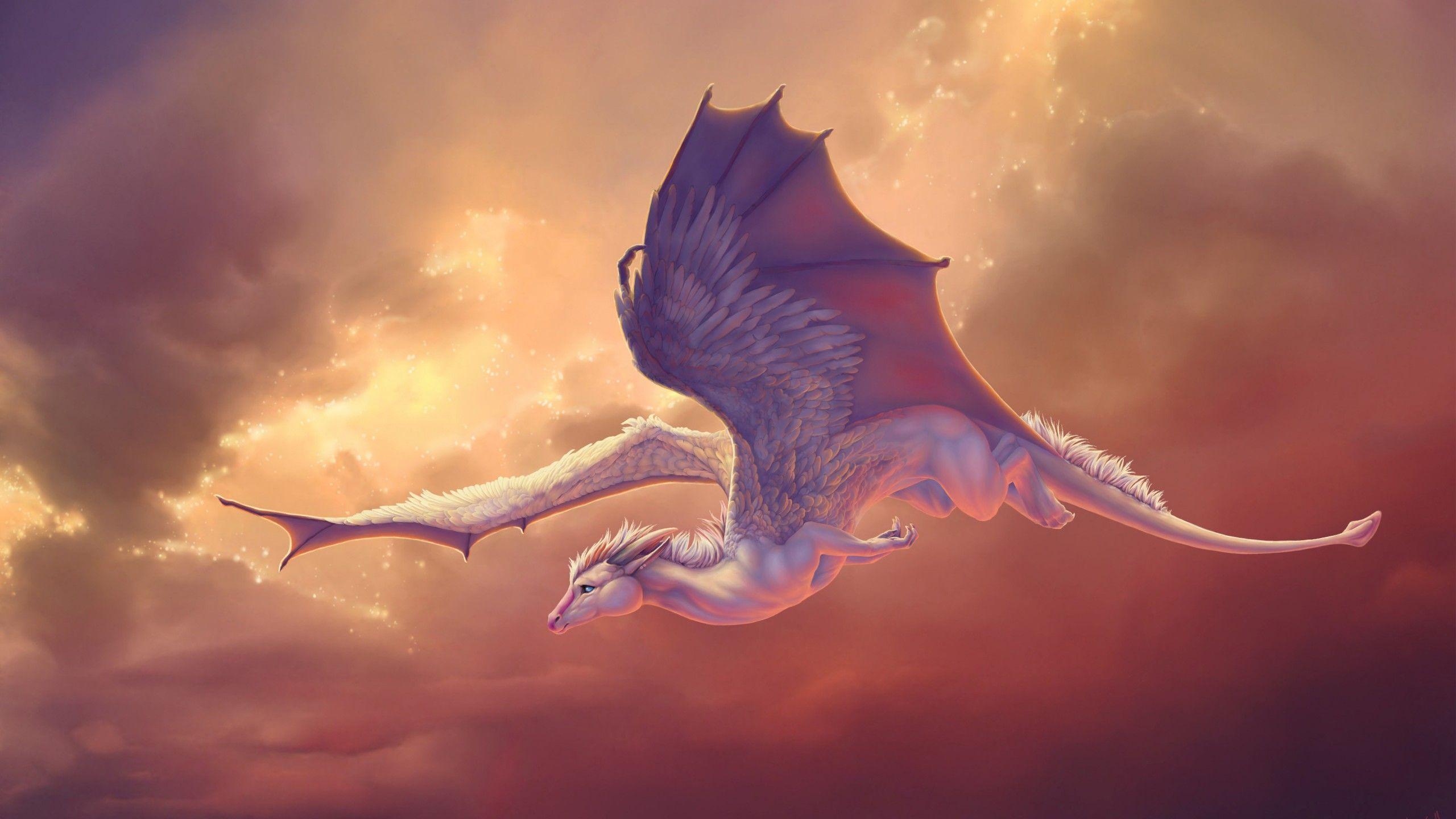 Flying Pegasus Dragon Horse Wallpaper