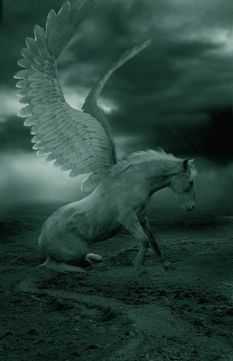 Pegasus Wallpaper HD Download