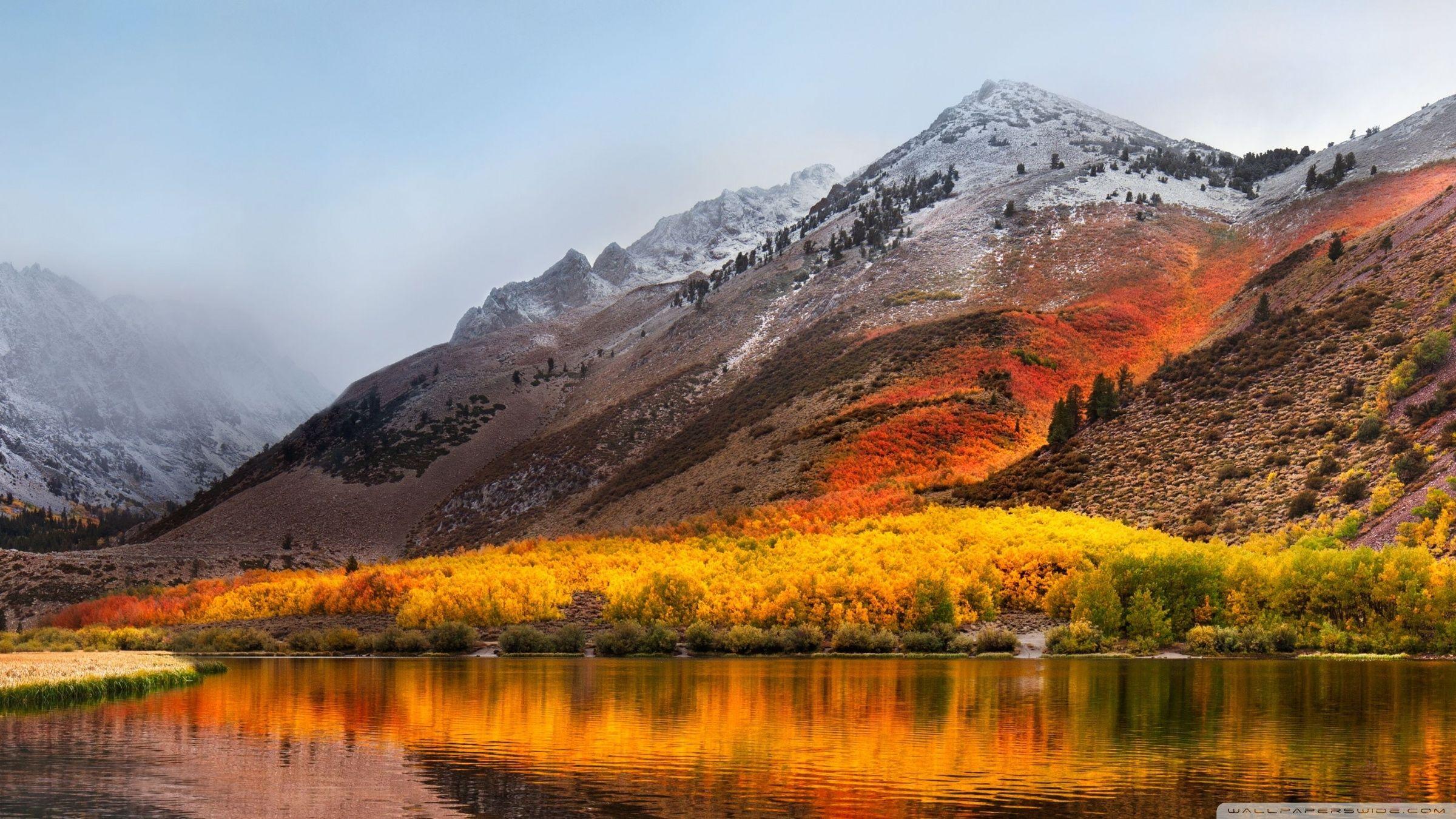 Technology MAC OS X wallpaper (Desktop, Phone, Tablet)