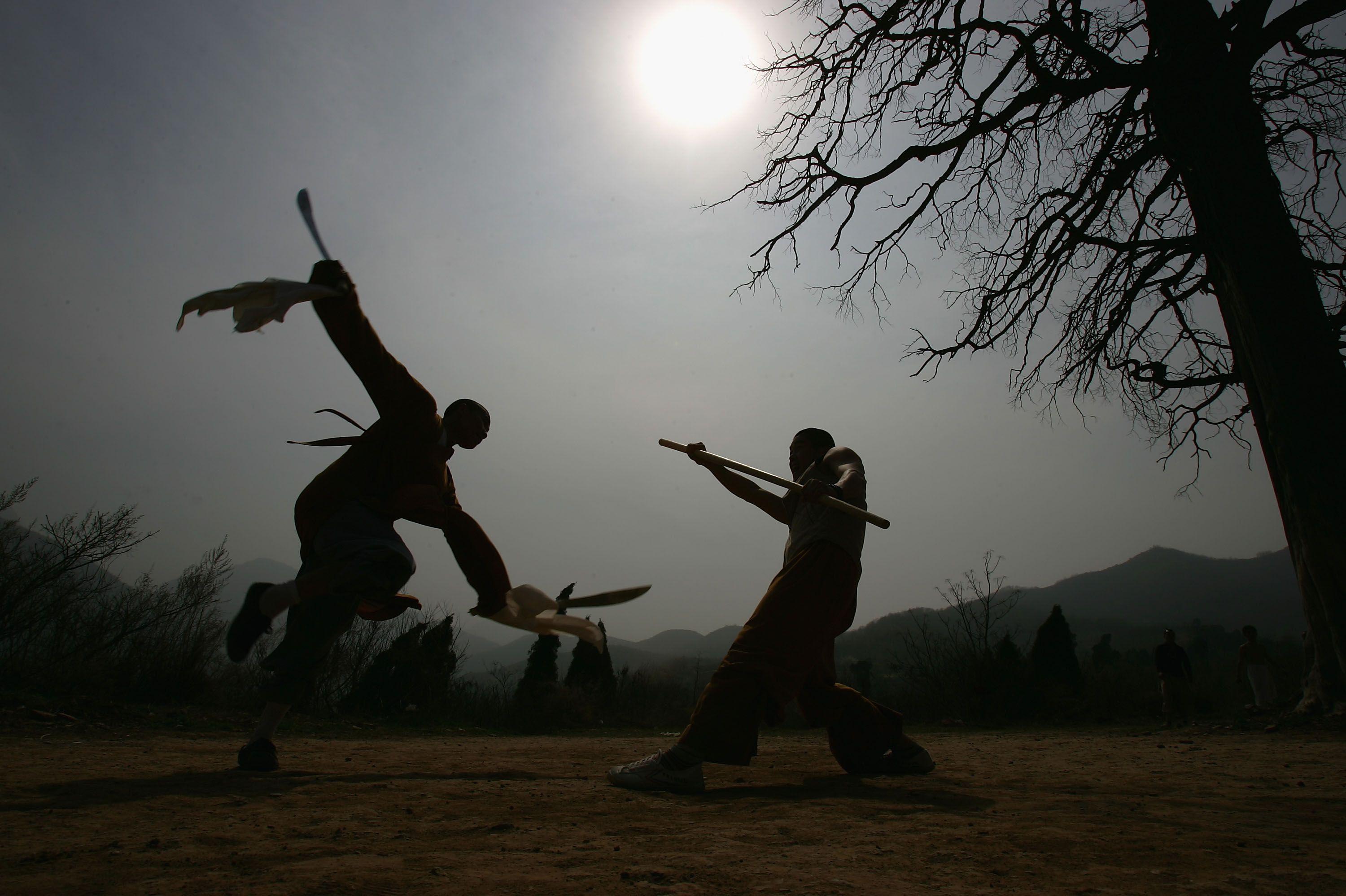 Shaolin Temple Martial Art Acts