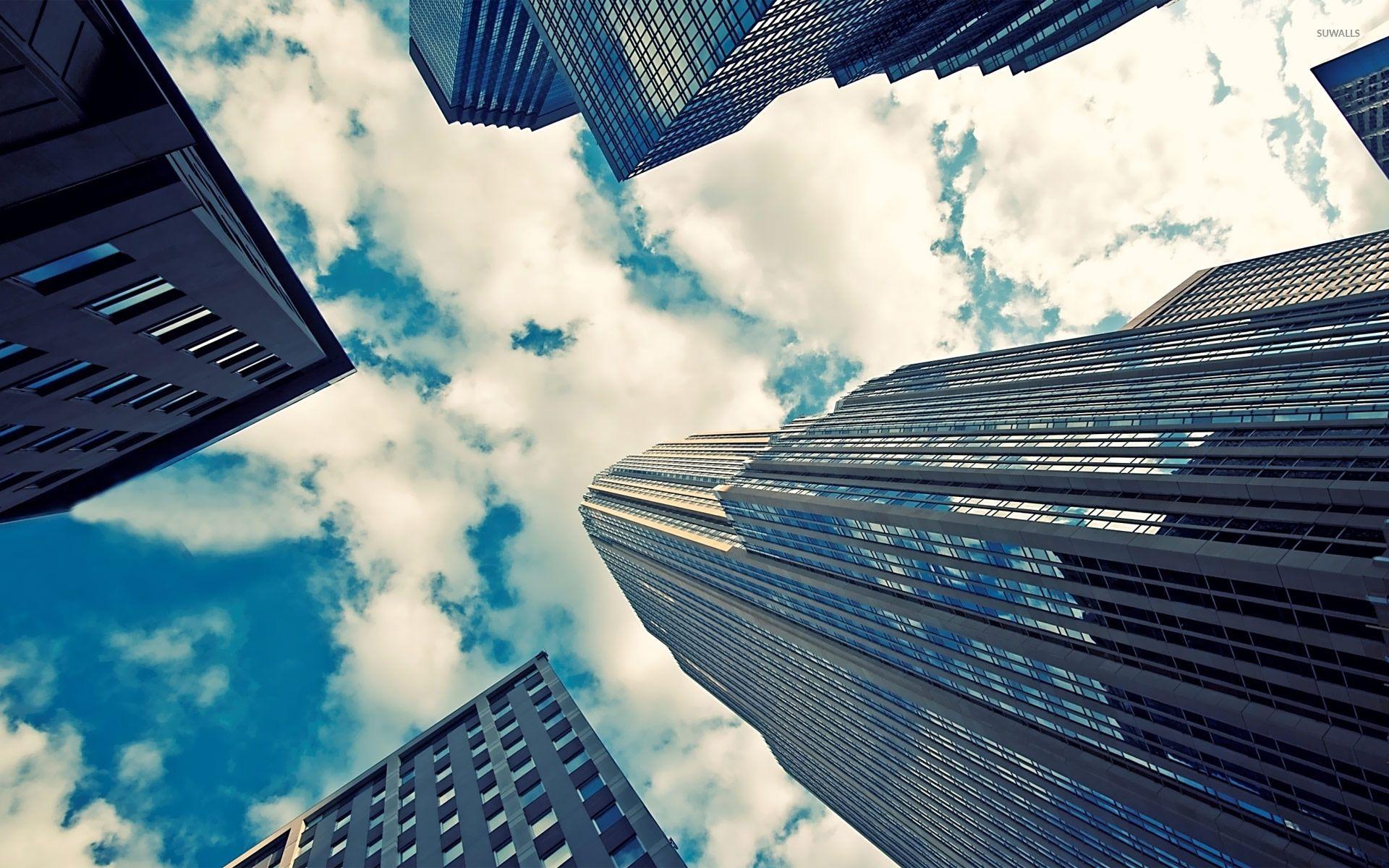Skyscrapers wallpaper wallpaper