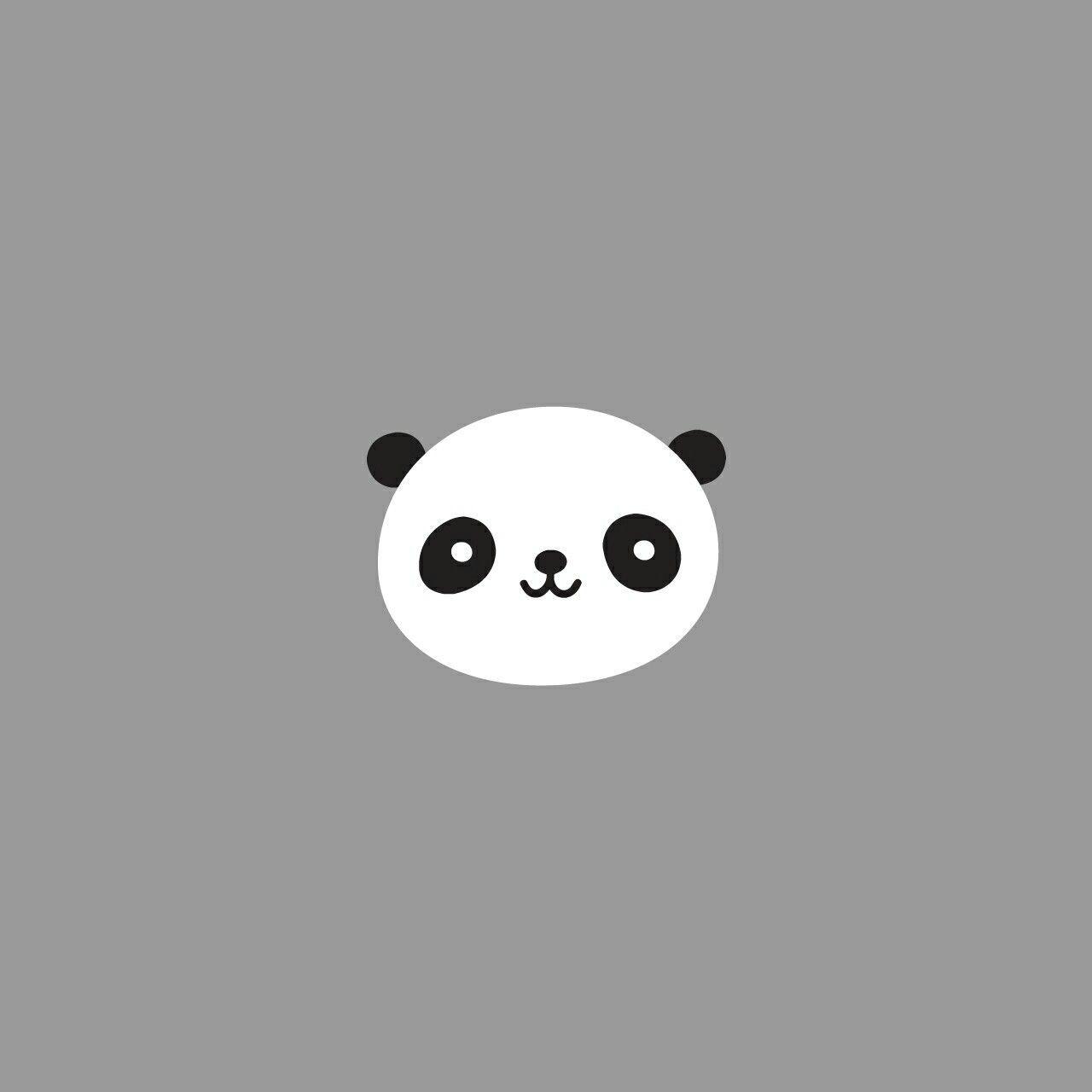 pandi panda