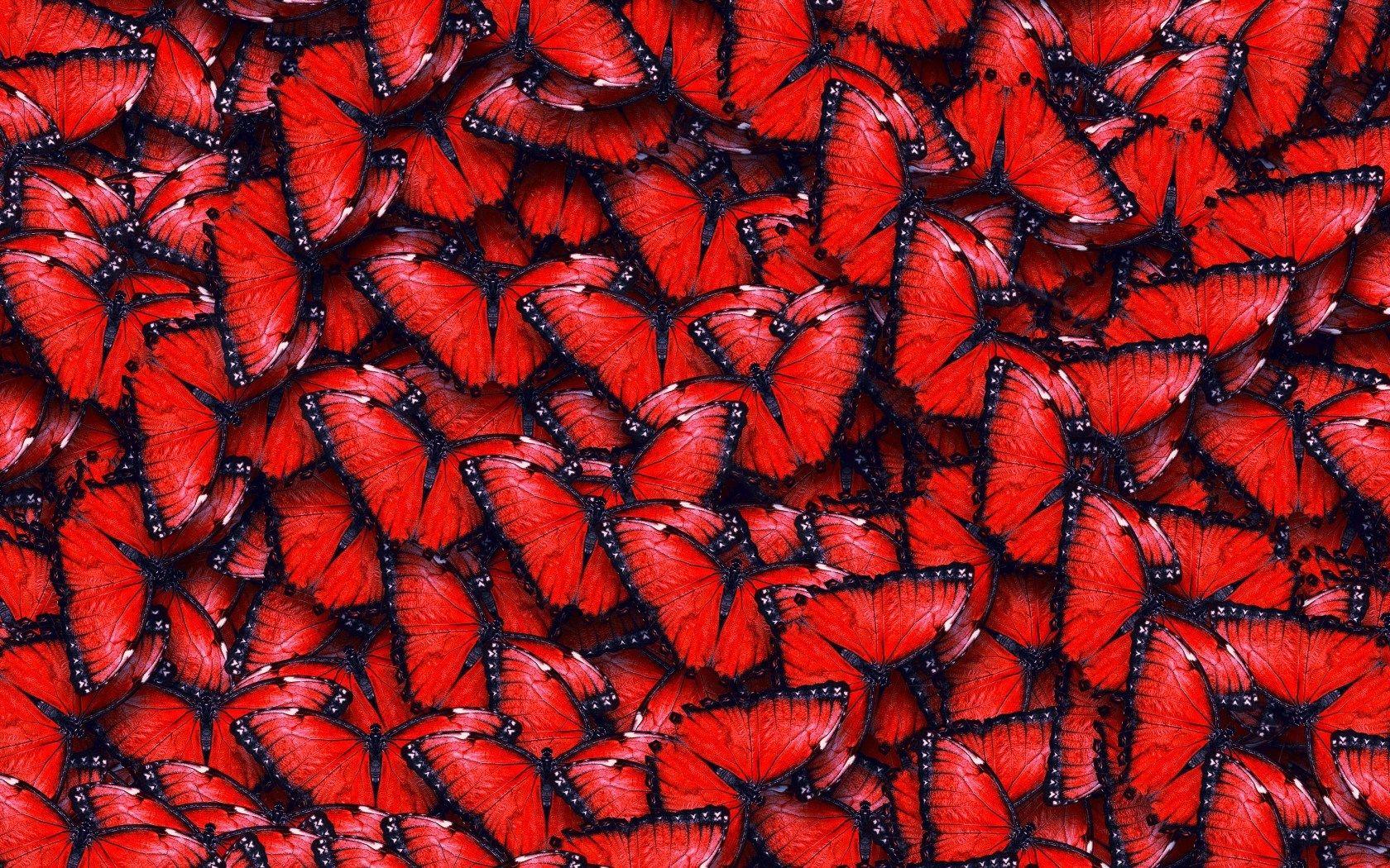 Red Butterflies Wallpaper