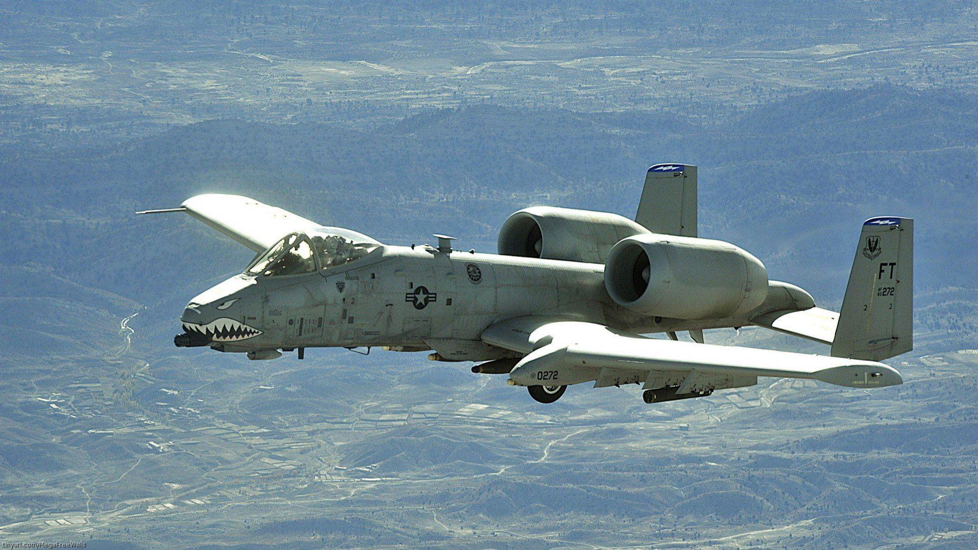 A 10 Warthog Wallpapers Wallpaper Cave