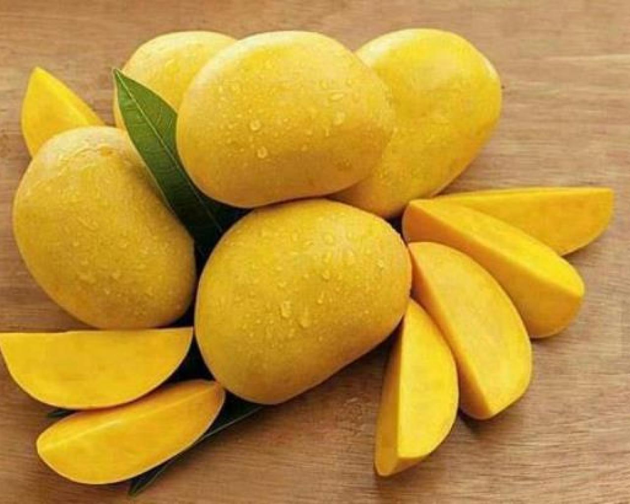 Mango