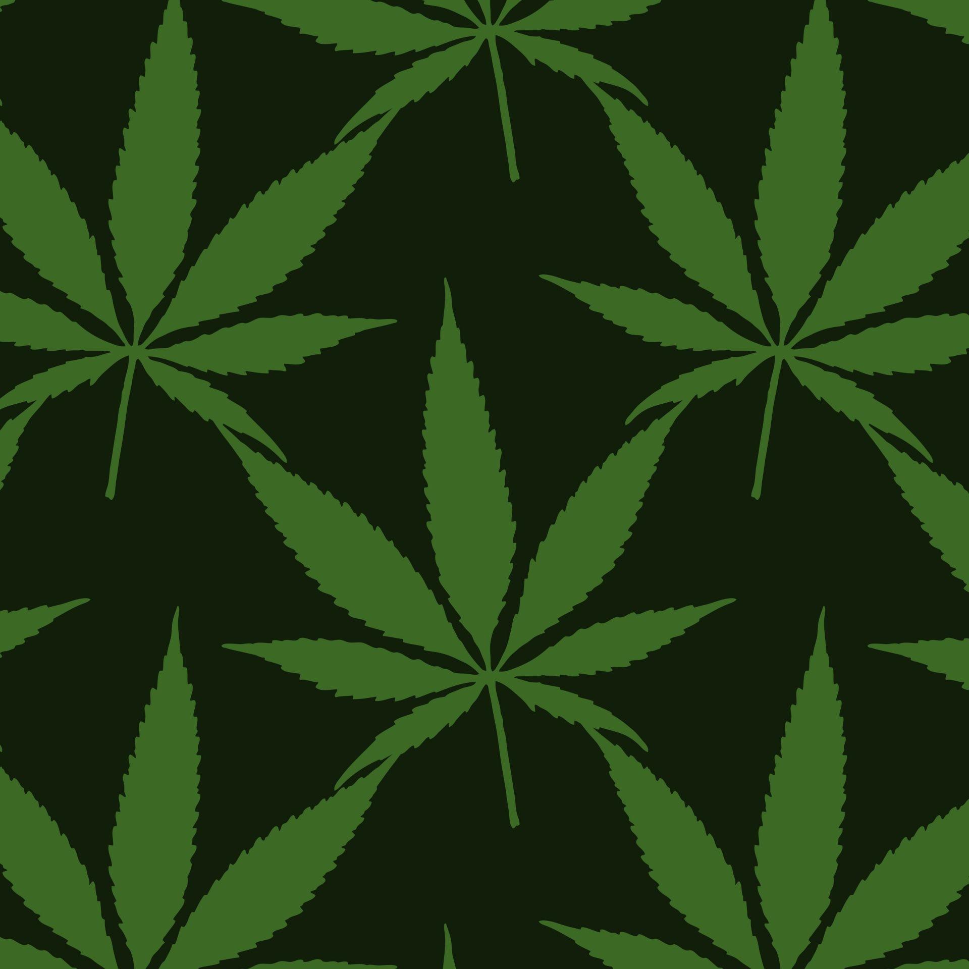 Cannabis Leaf Background Pattern Free Domain