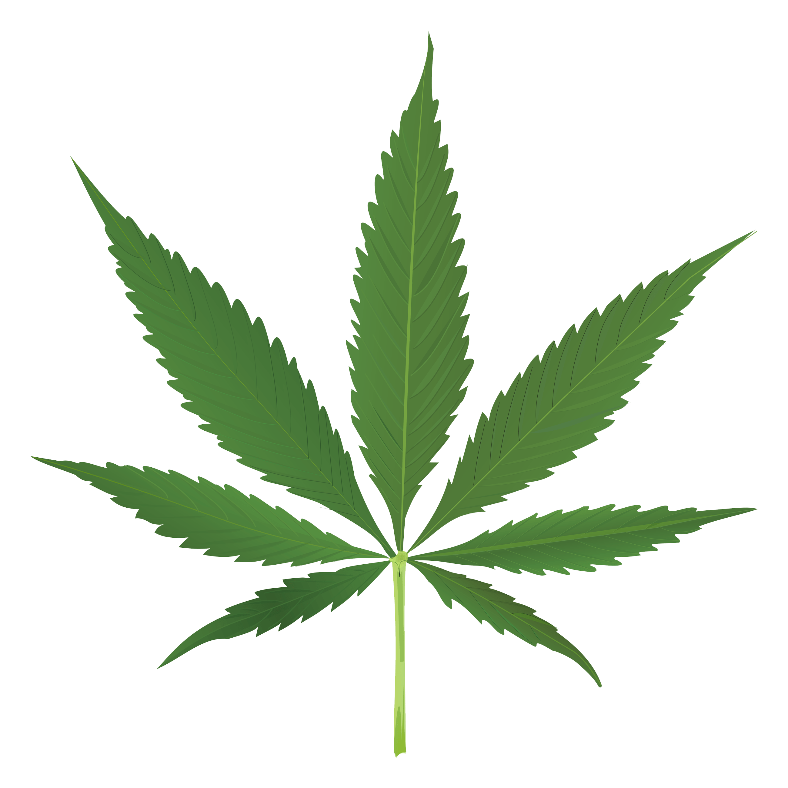 Thug Life Weed Leaf transparent PNG