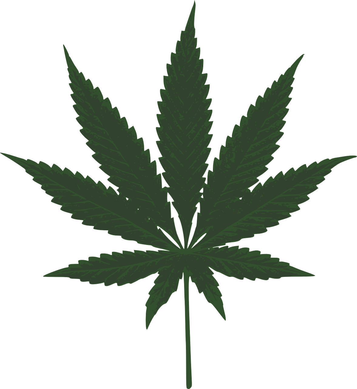 Marijuana Leaf Green Pot PNG Image