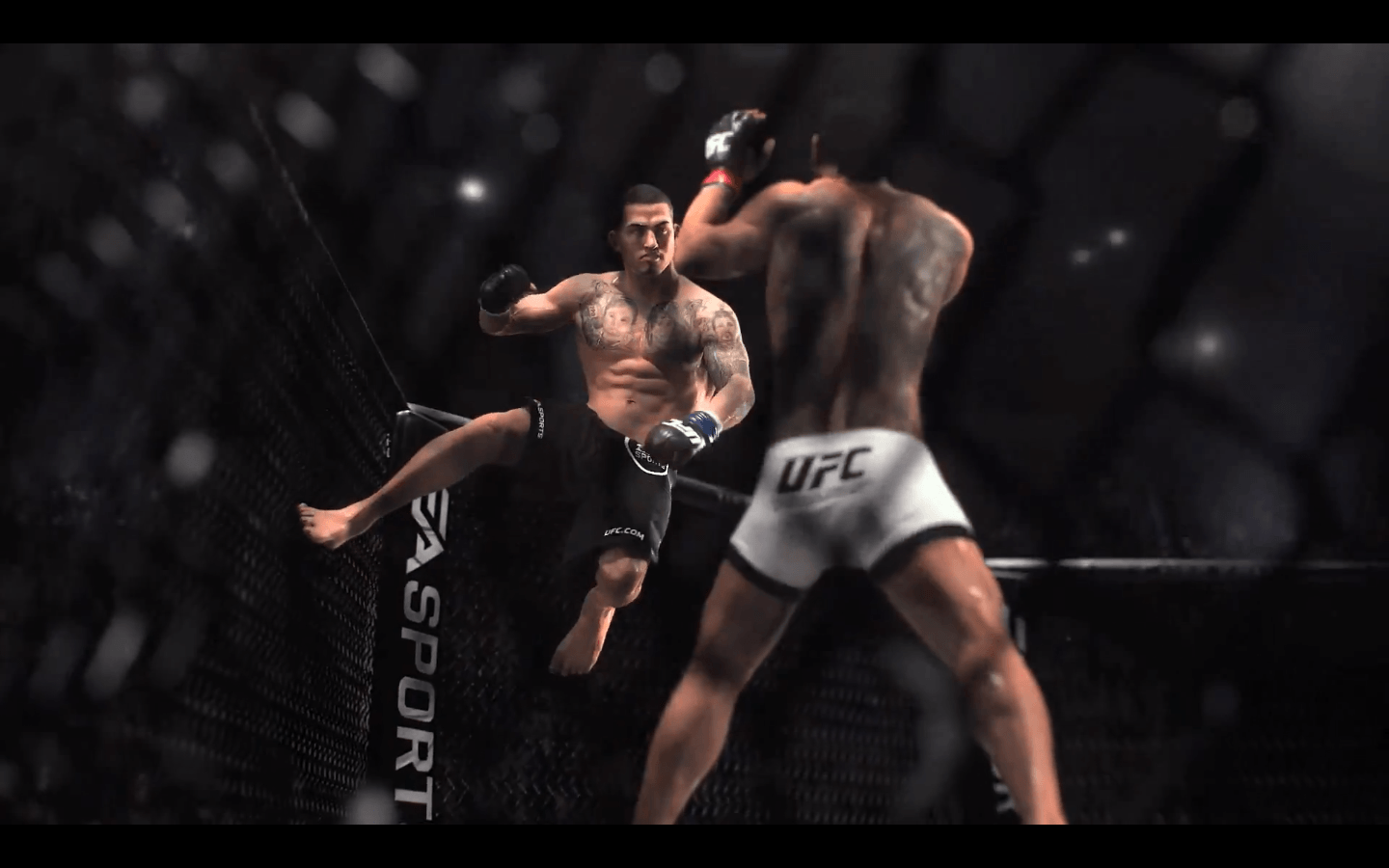 Wallpapers Mma Ufc - Wallpaper Cave