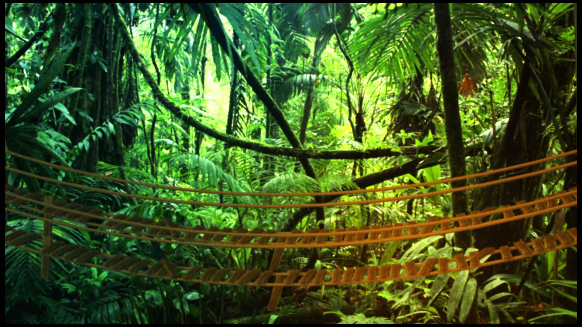 Background Jungle Anaconda