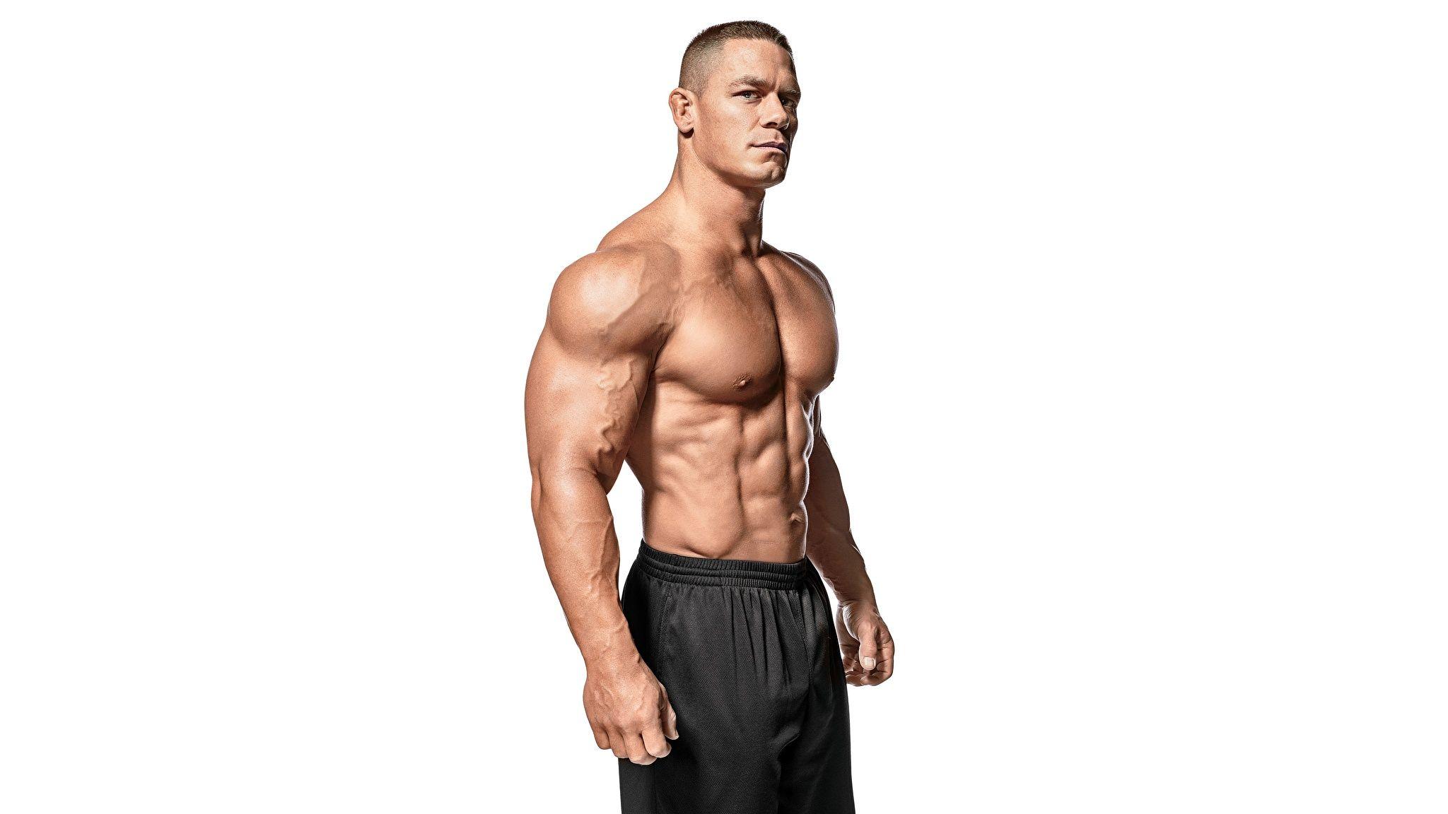 Picture Men John Cena Bodybuilding White background 2048x1152