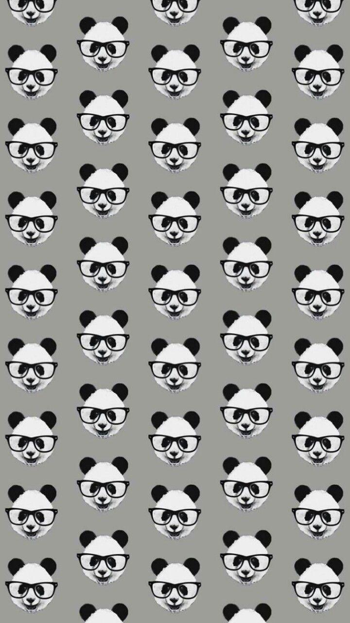 Wallpaper Panda. Duvar kağıtları. Panda, Wallpaper
