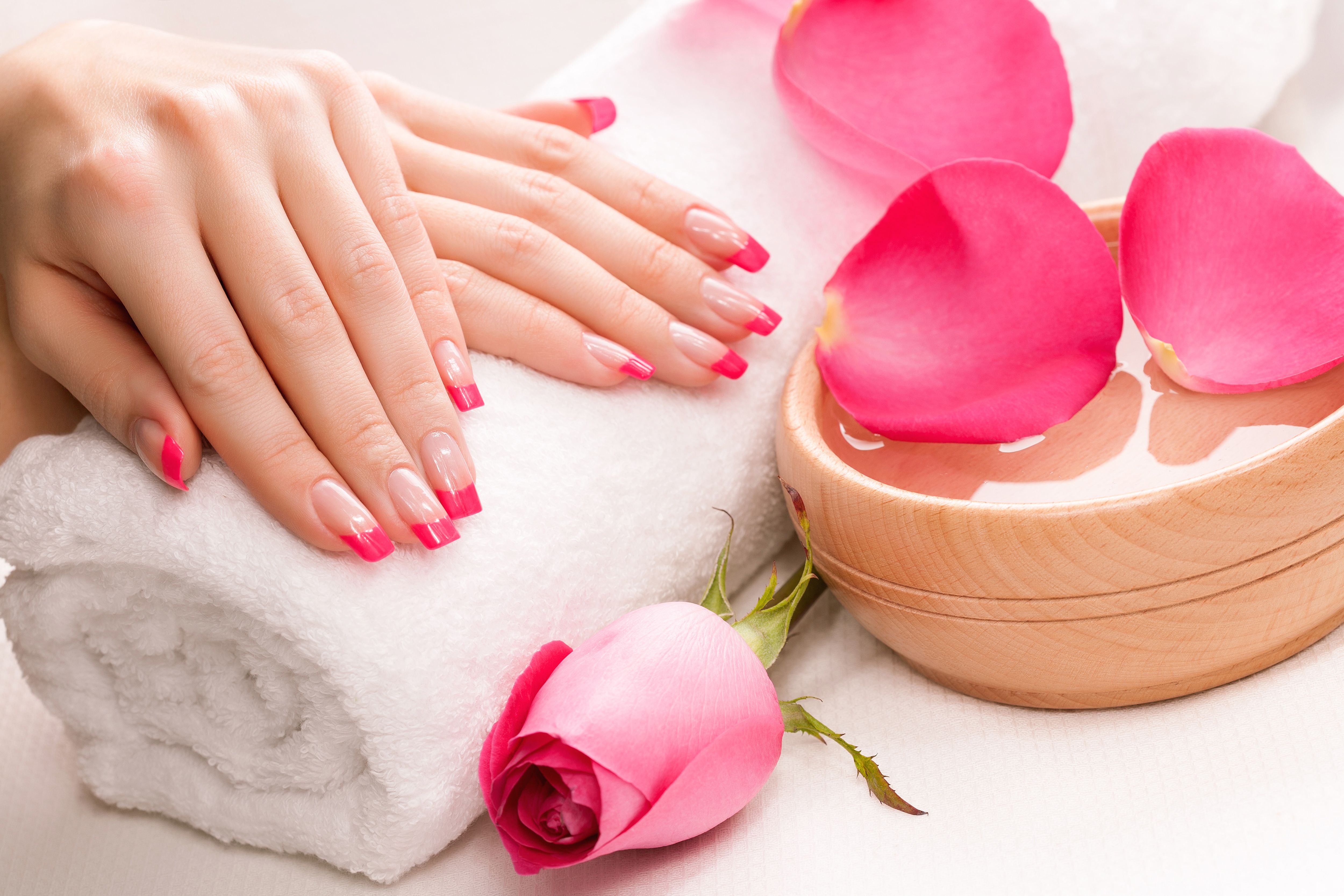 Manicure With Rose Background Quality