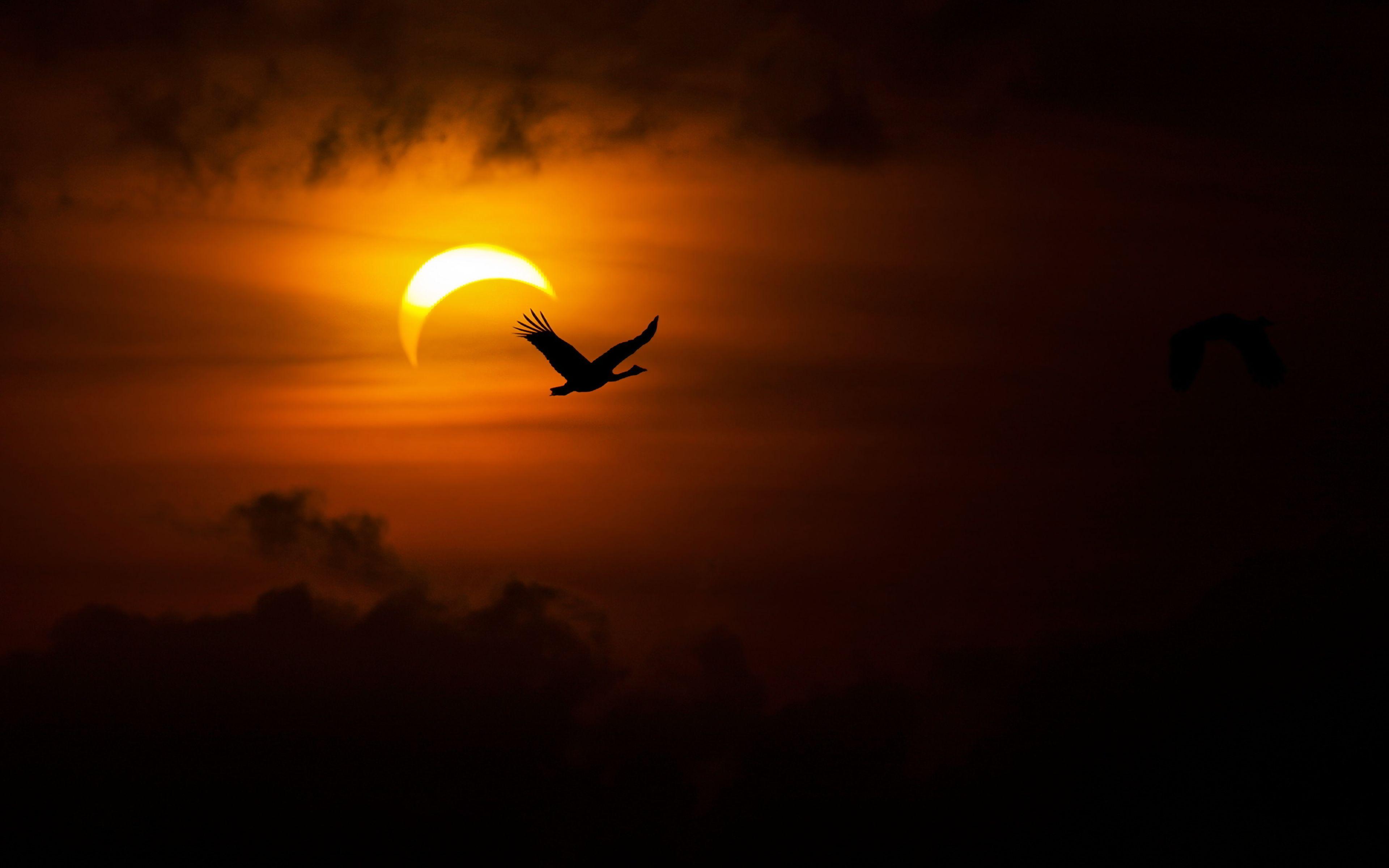 Solar Eclipse HD Wallpaper and Background Image