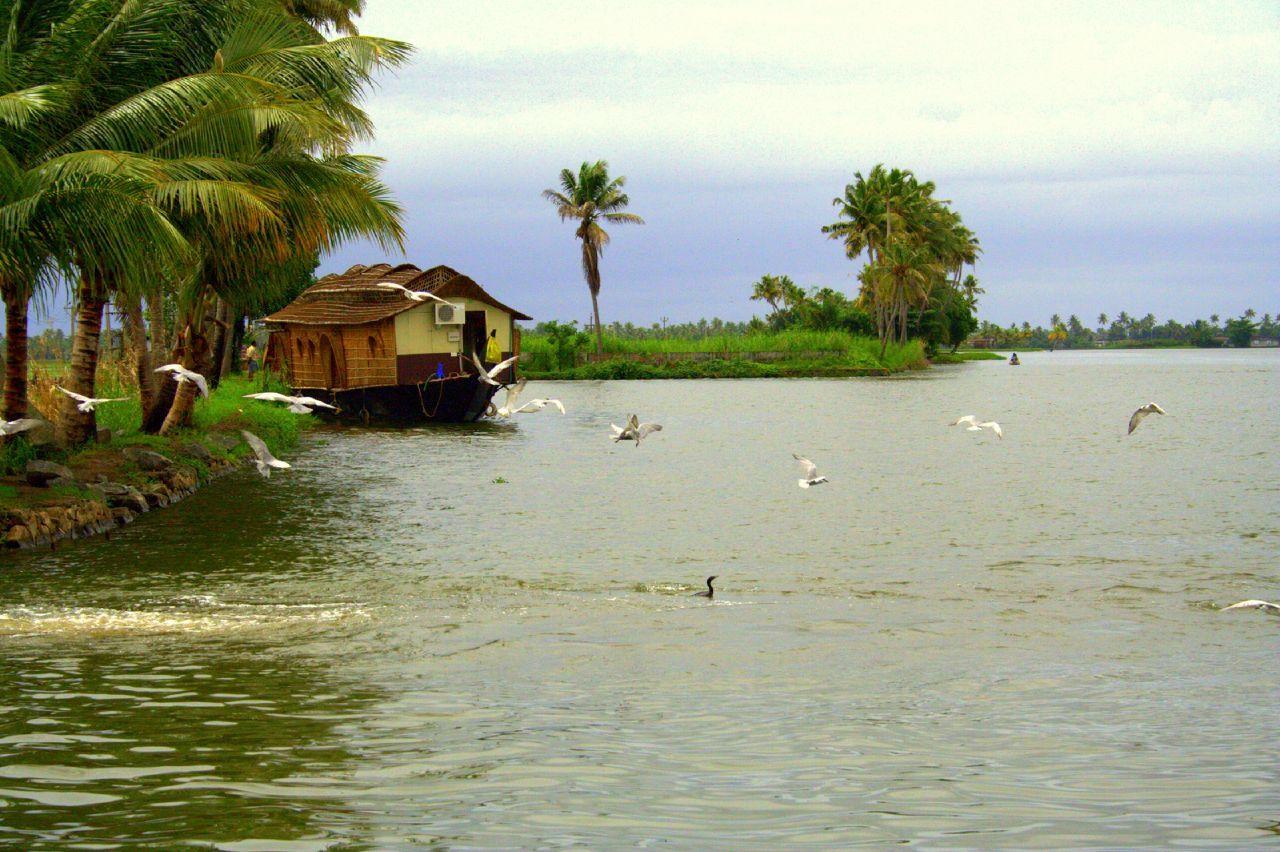 Nature Picture: Nature Picture Of Kerala