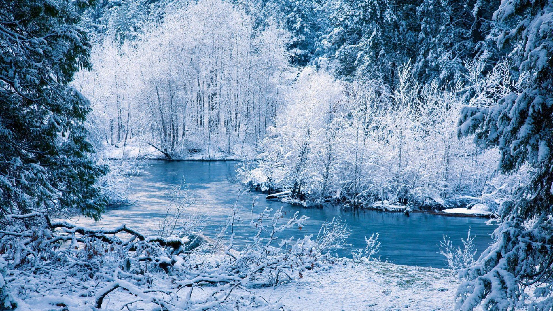 Download Wallpaper 1920x1080 winter, river, snow, trees, landscape