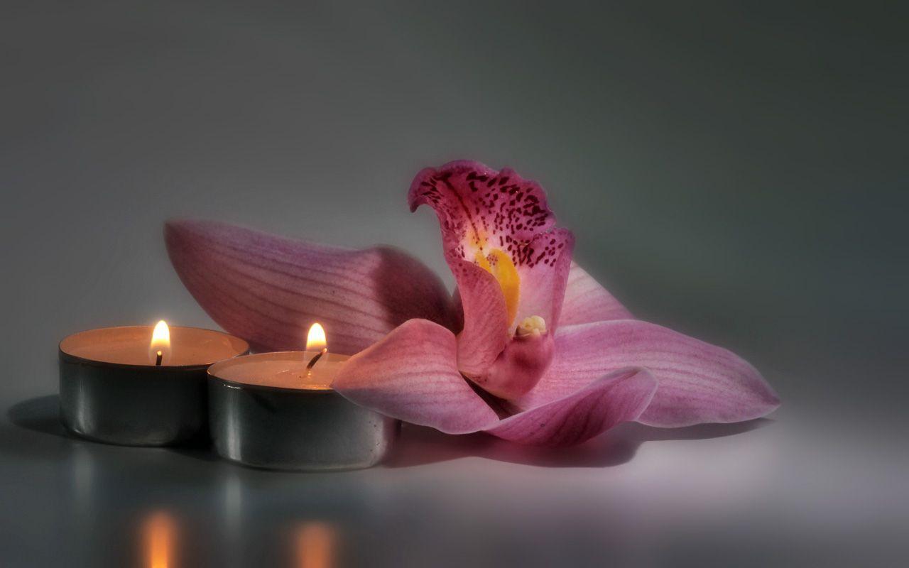 Ergebnis für: Wallpaper mit einer lilafarbenen Orchidee, drappiert