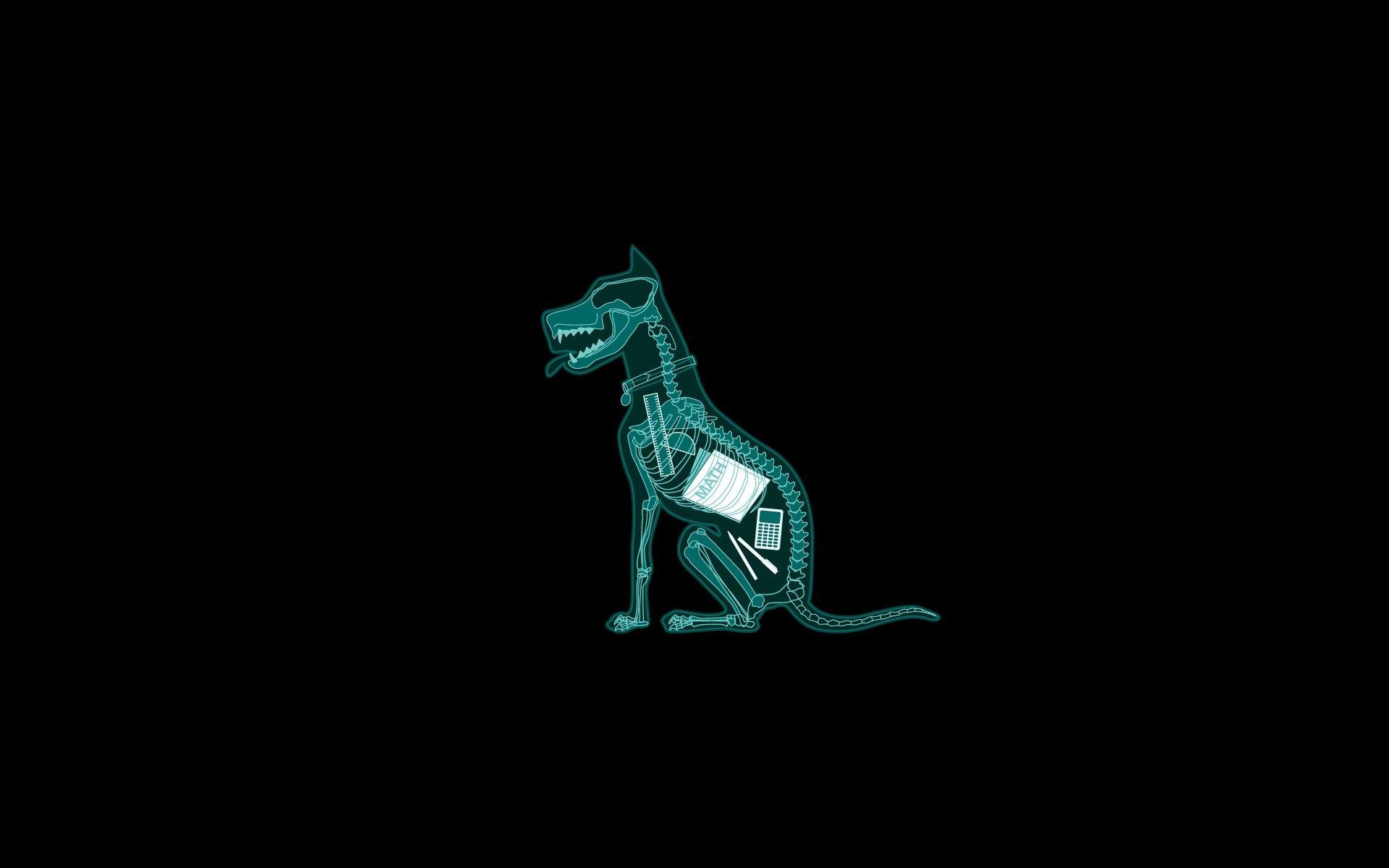 Minimalistic, Dark, Humor, Dogs, Funny, Mathematics, X Ray, Black