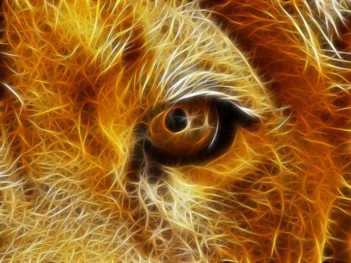 Abstract Lion Eye